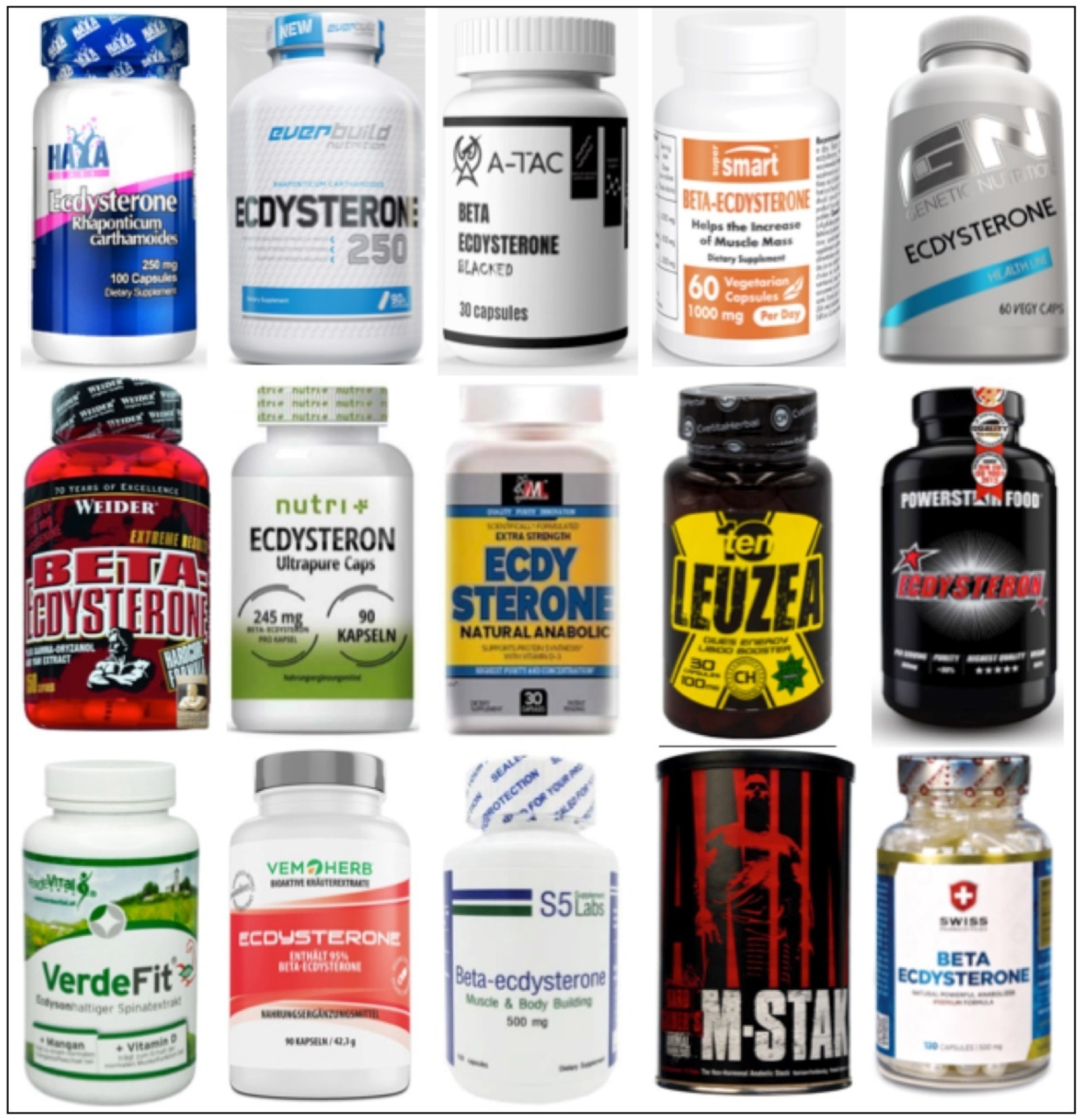 Encyclopedia 01 00096 g013