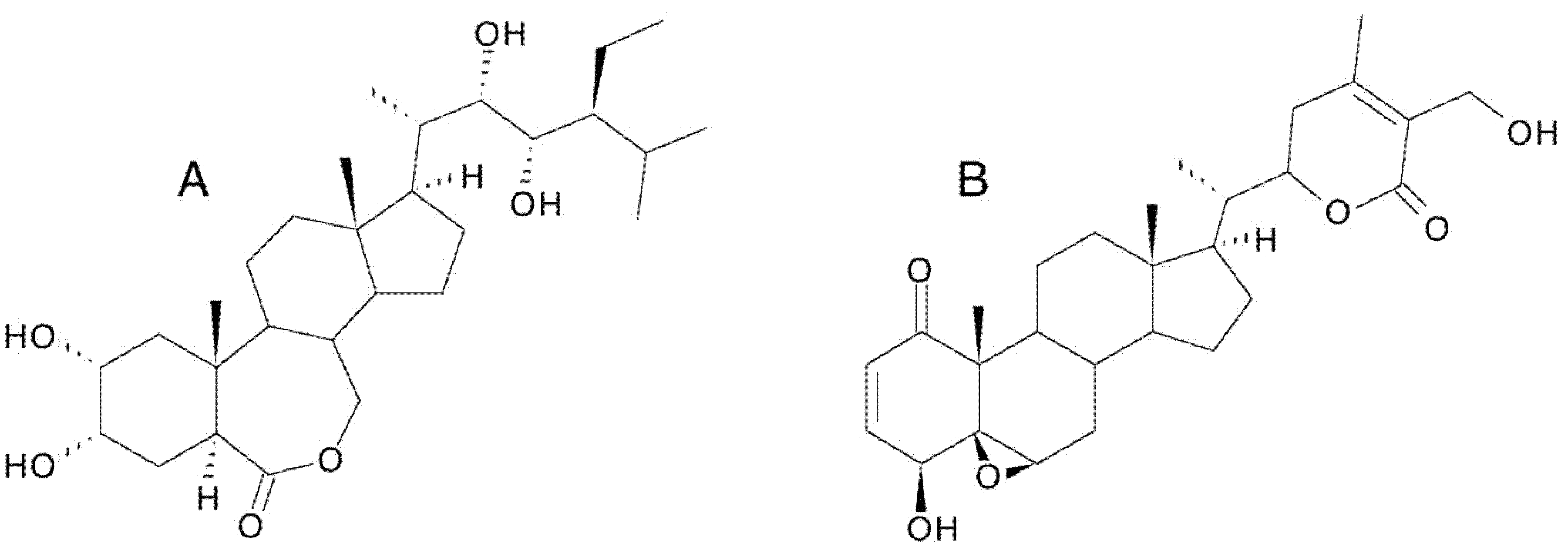 Encyclopedia 01 00096 g015