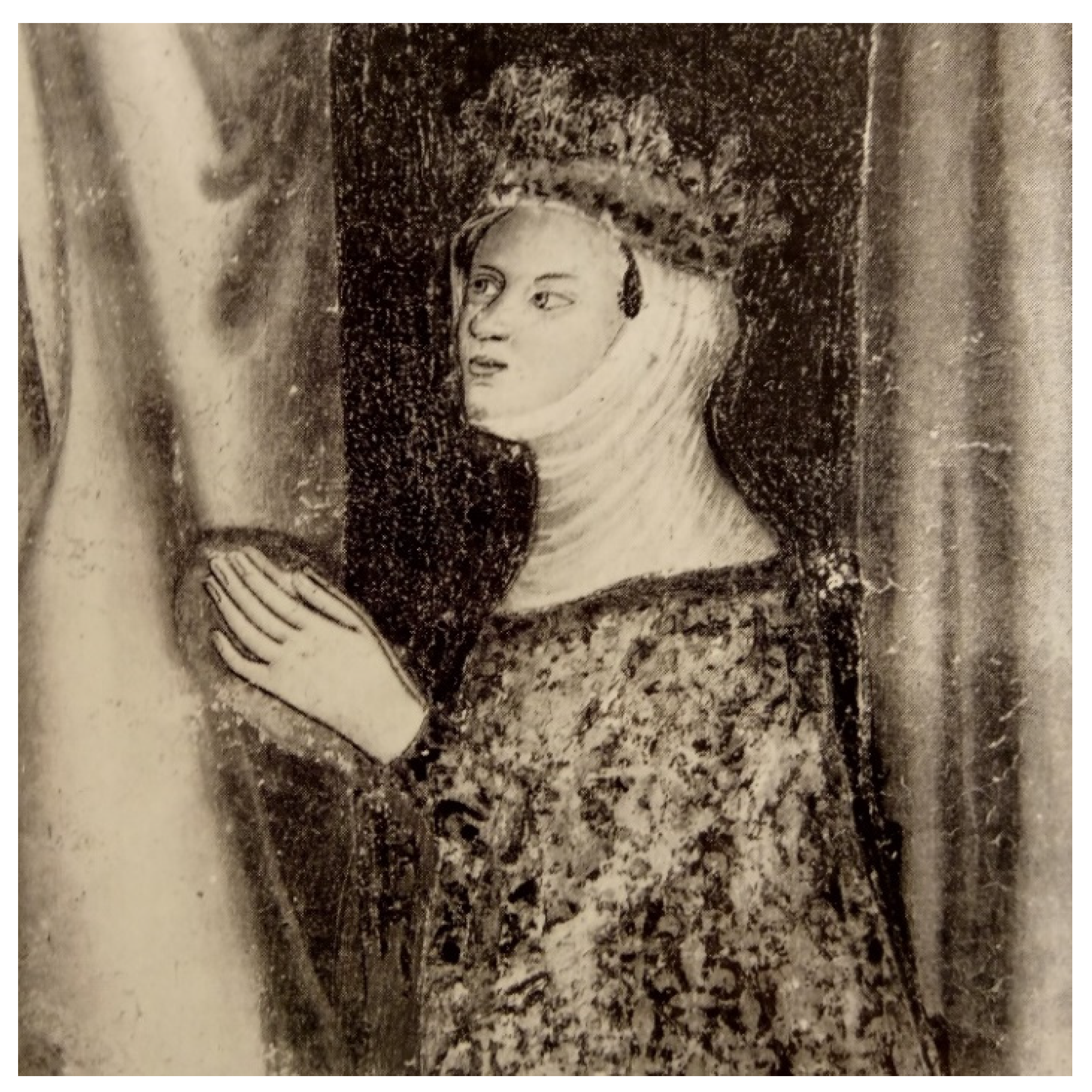 Encyclopedia 01 00097 g002