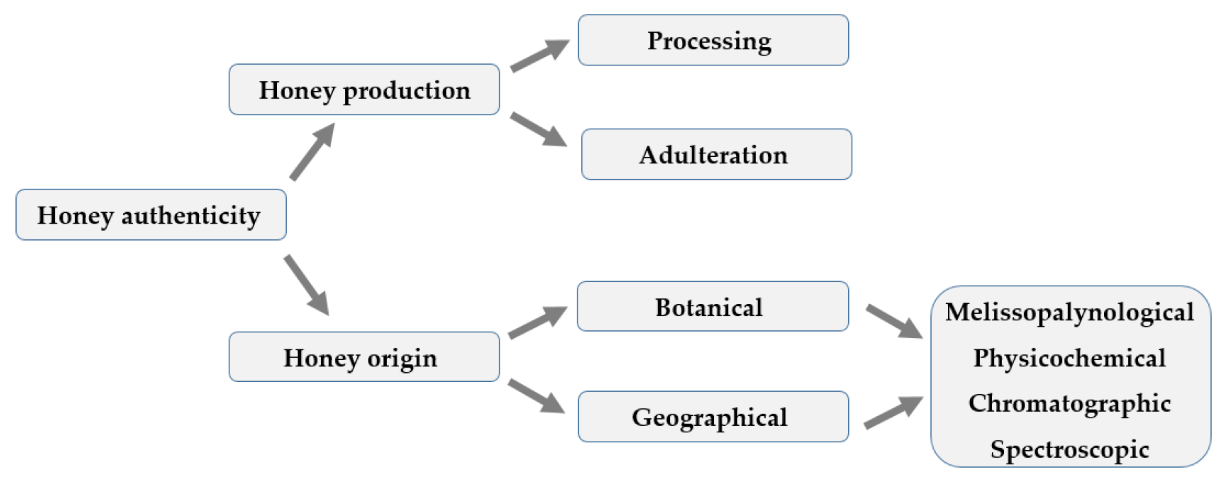 Encyclopedia 01 00099 g002