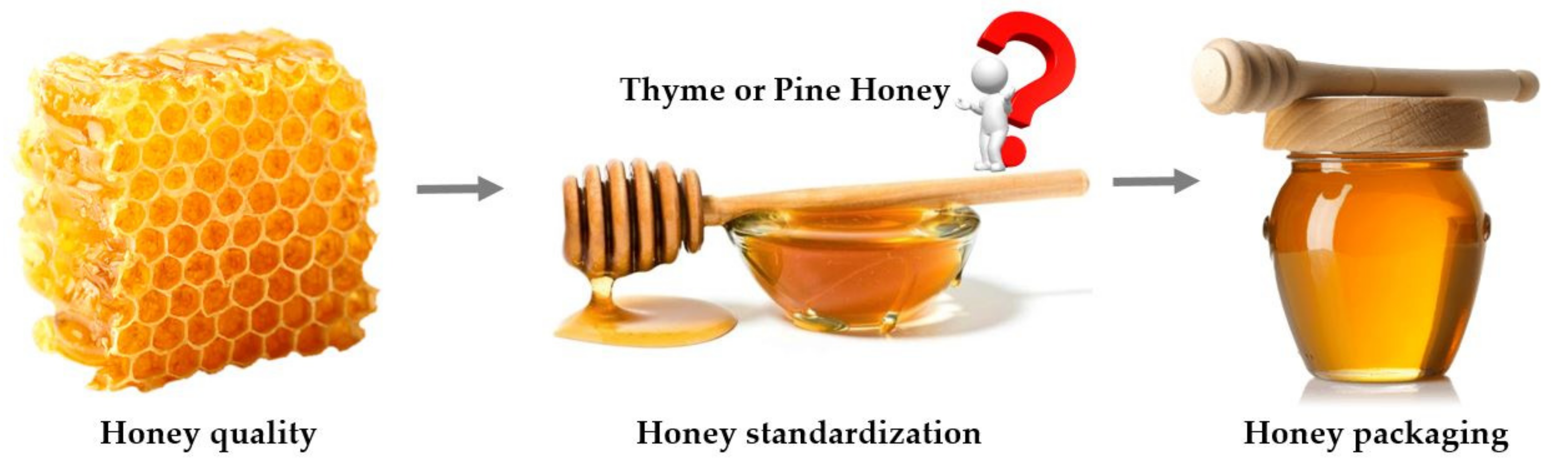 Encyclopedia 01 00099 g003