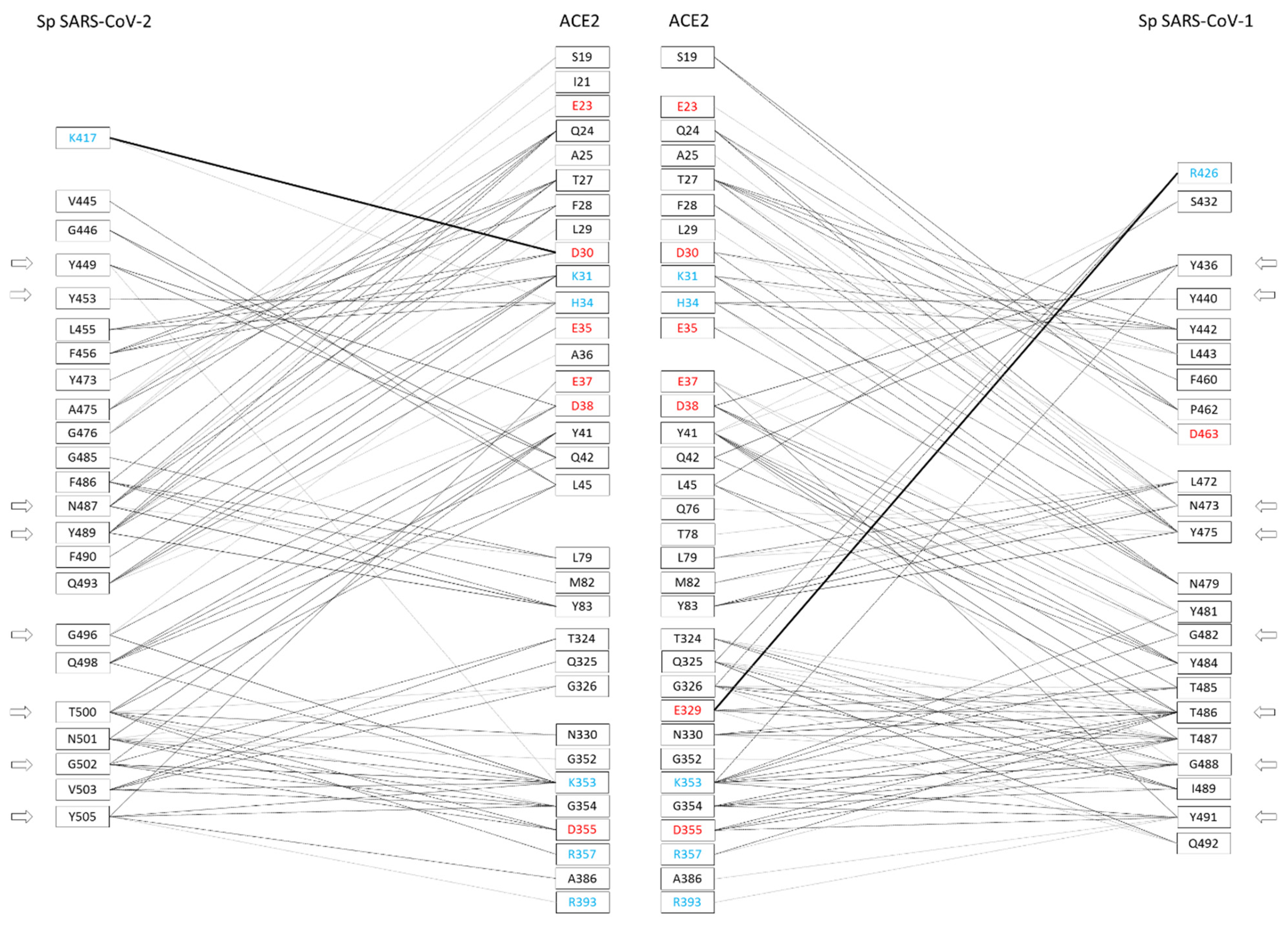Encyclopedia 02 00007 g002