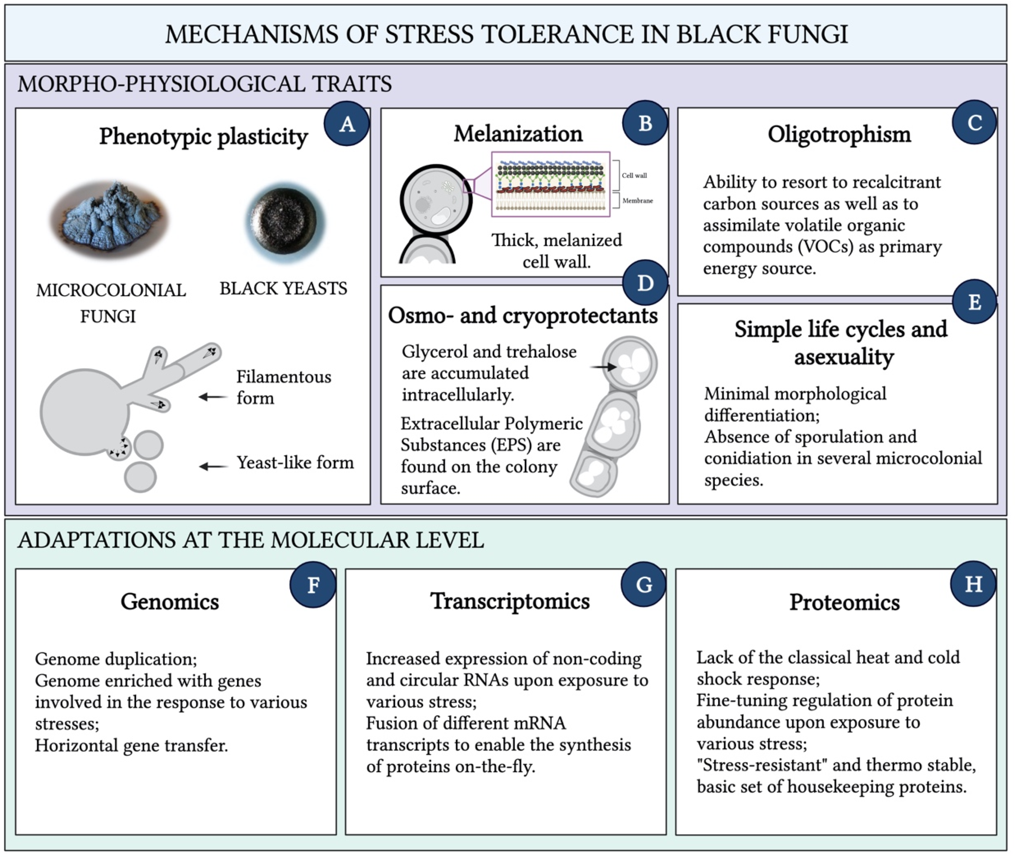 Encyclopedia 02 00013 g002