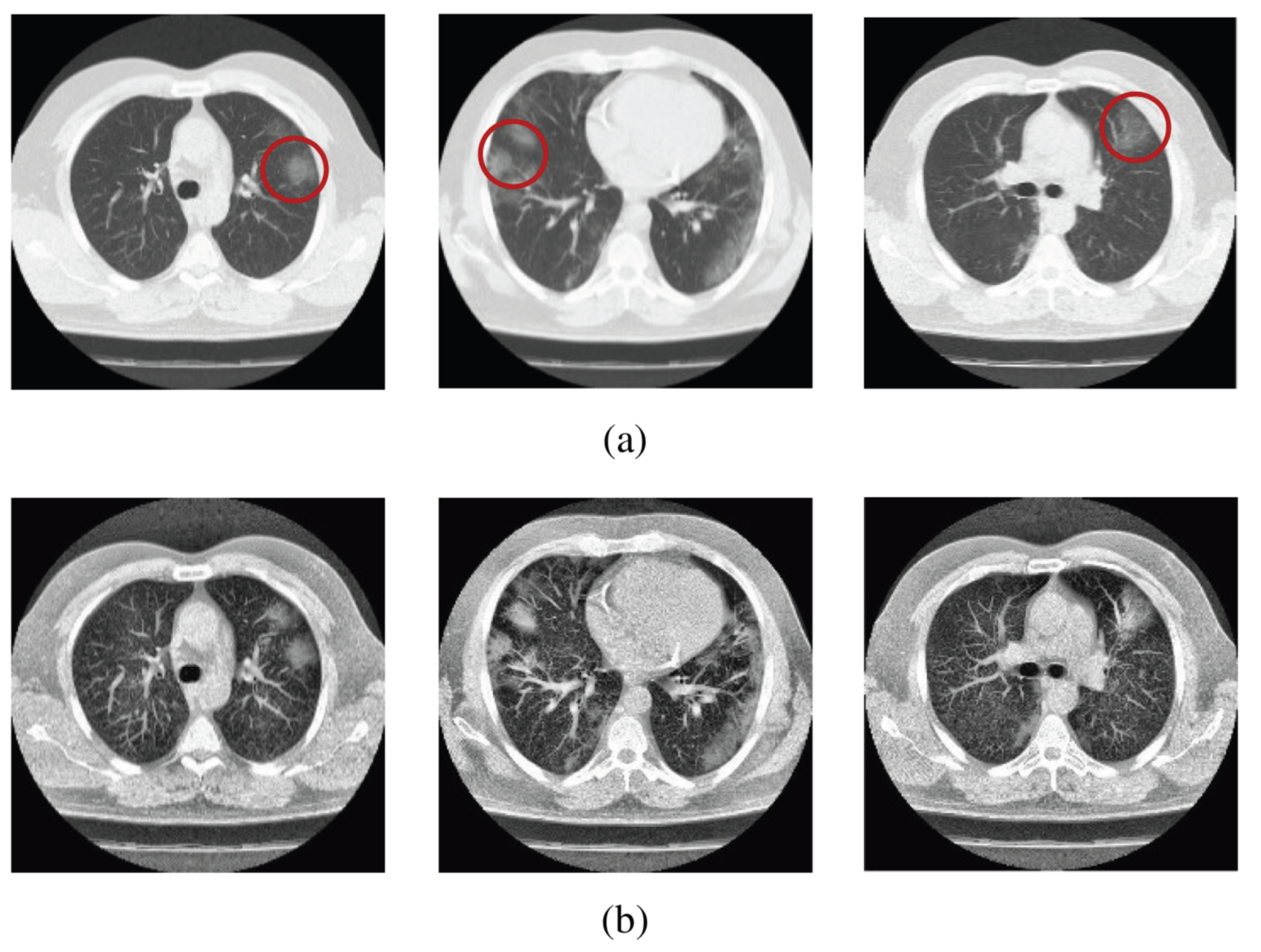 Encyclopedia 02 00018 g027 Encyclopedia 02 00018 g027