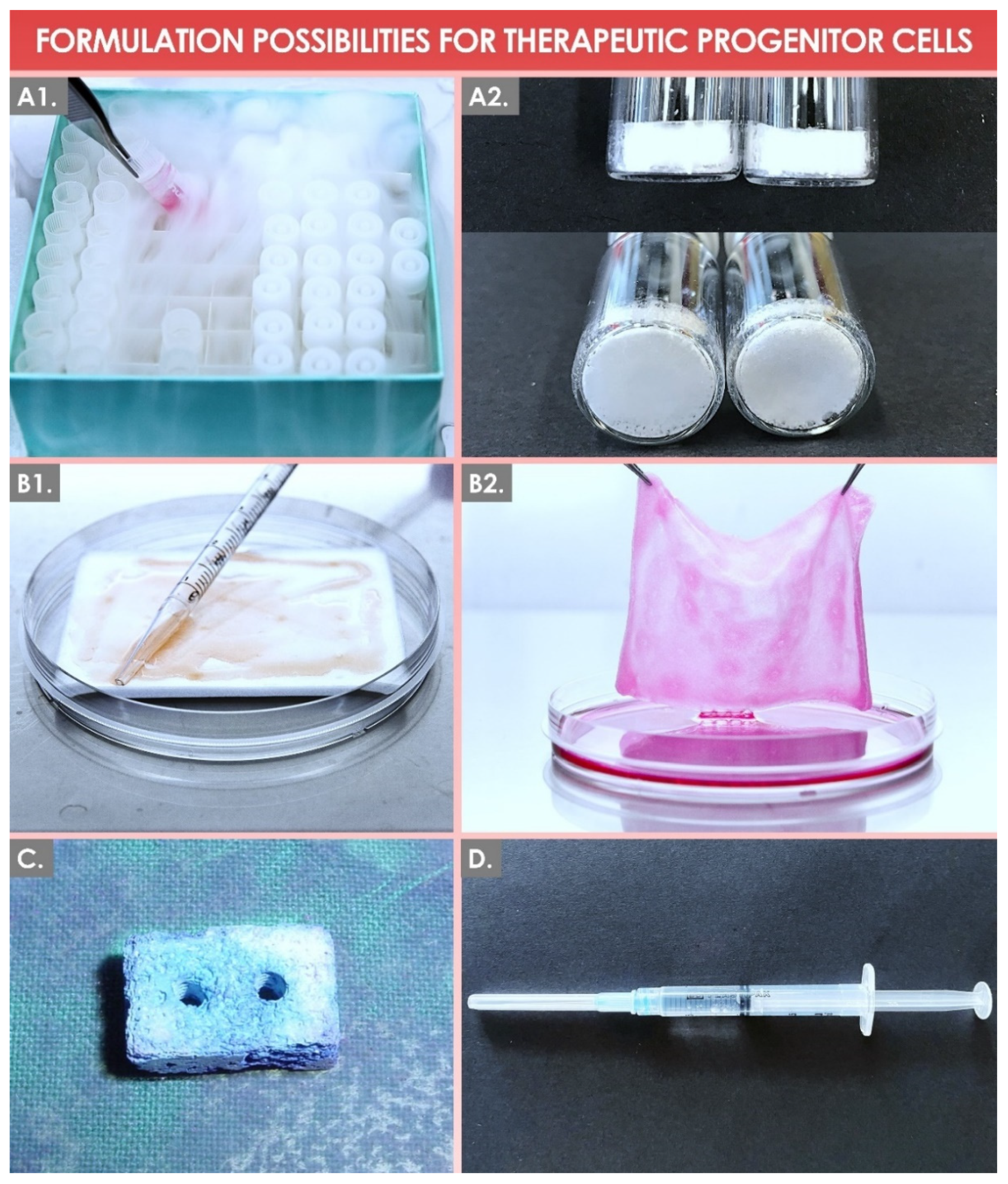 Encyclopedia 02 00021 g004