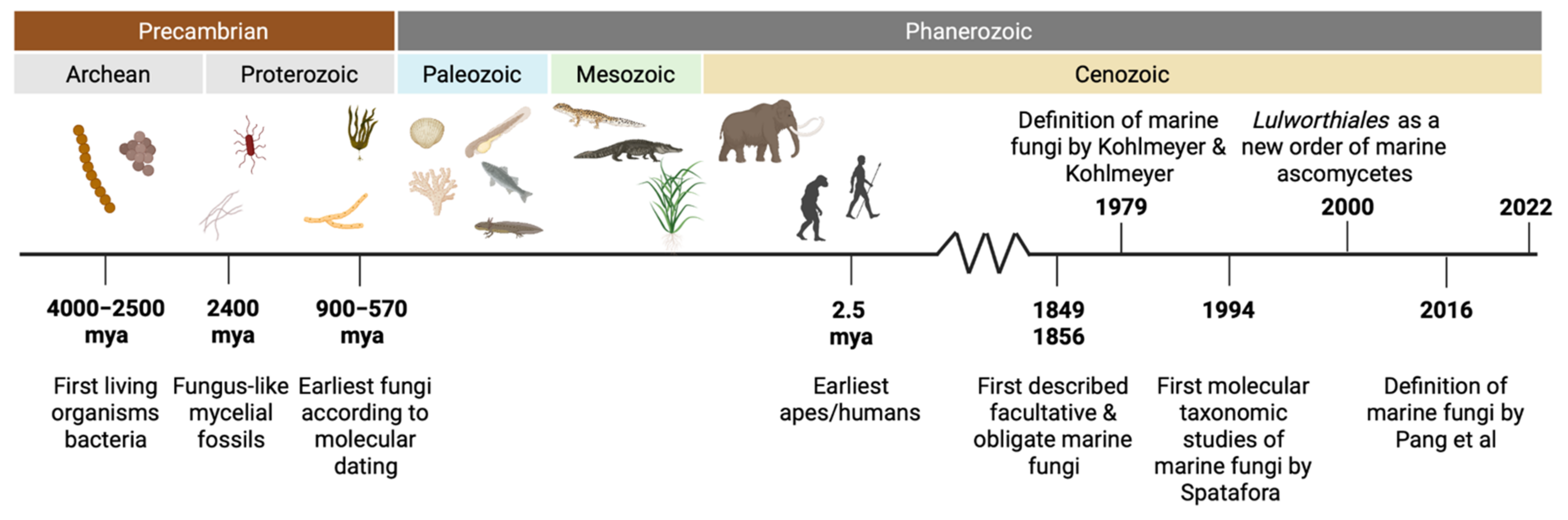 Encyclopedia 02 00037 g001