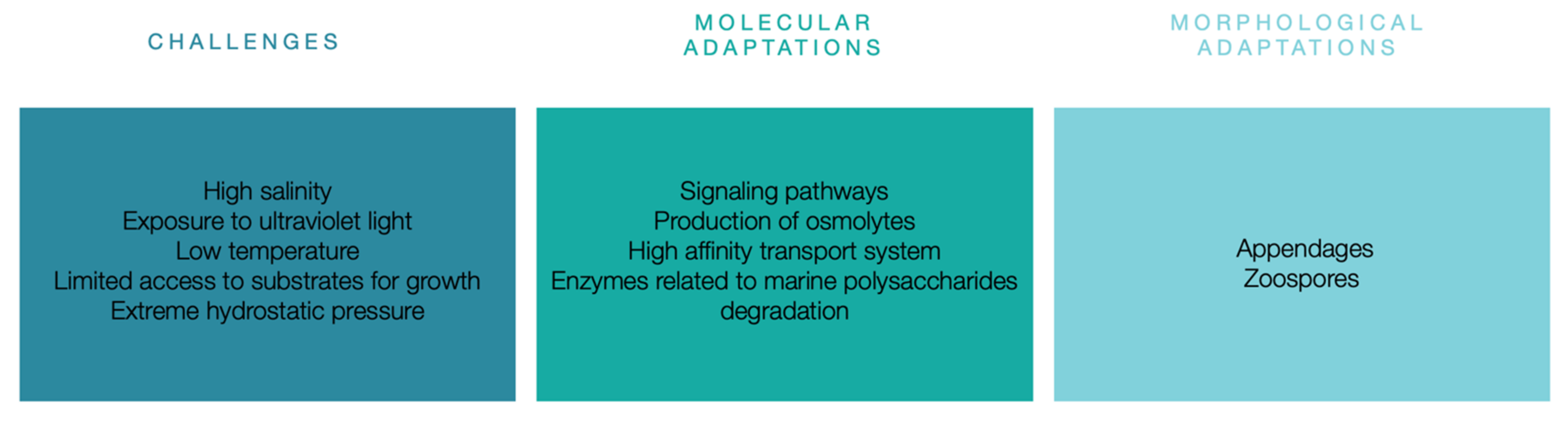 Encyclopedia 02 00037 g002