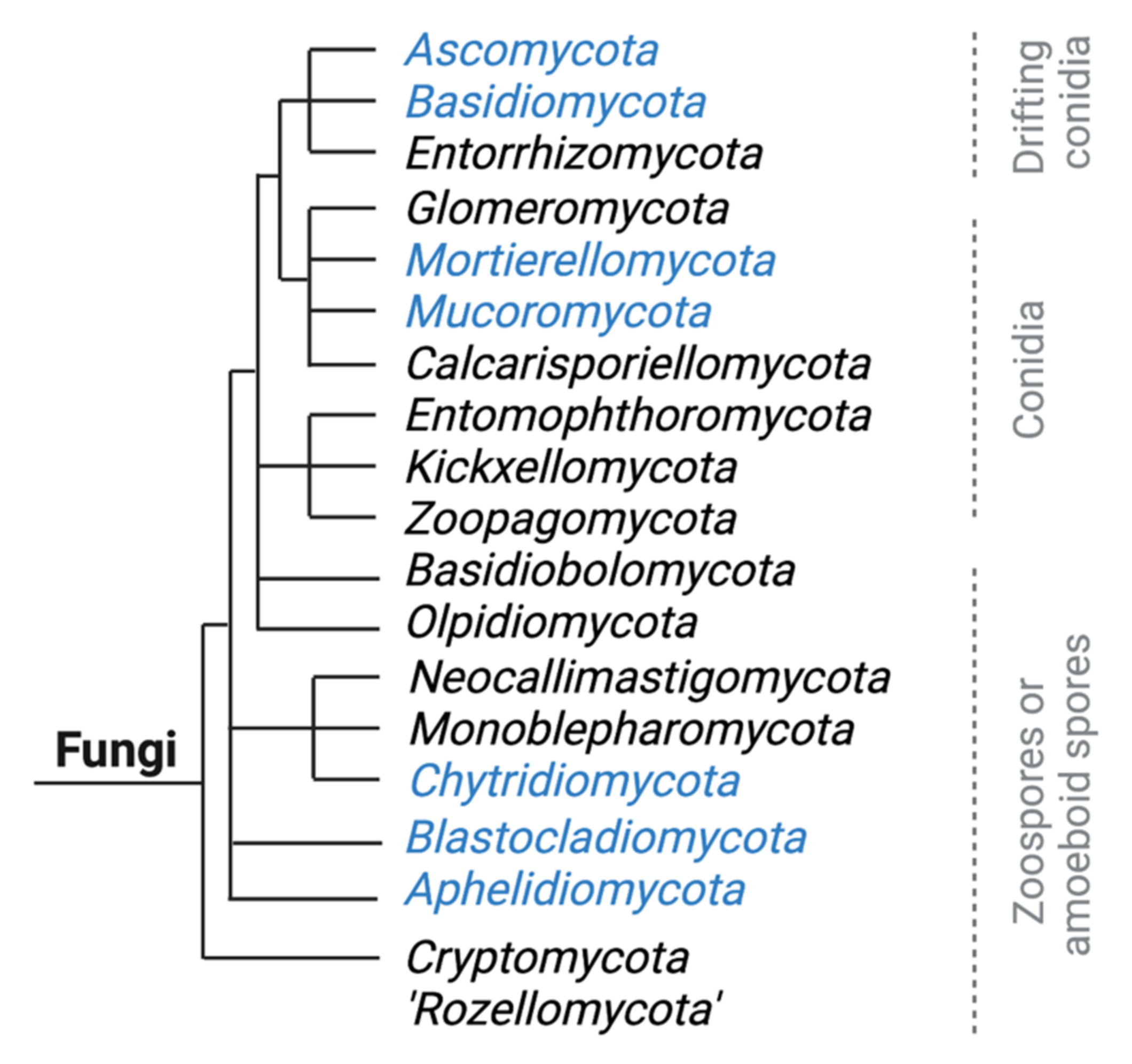Encyclopedia 02 00037 g003