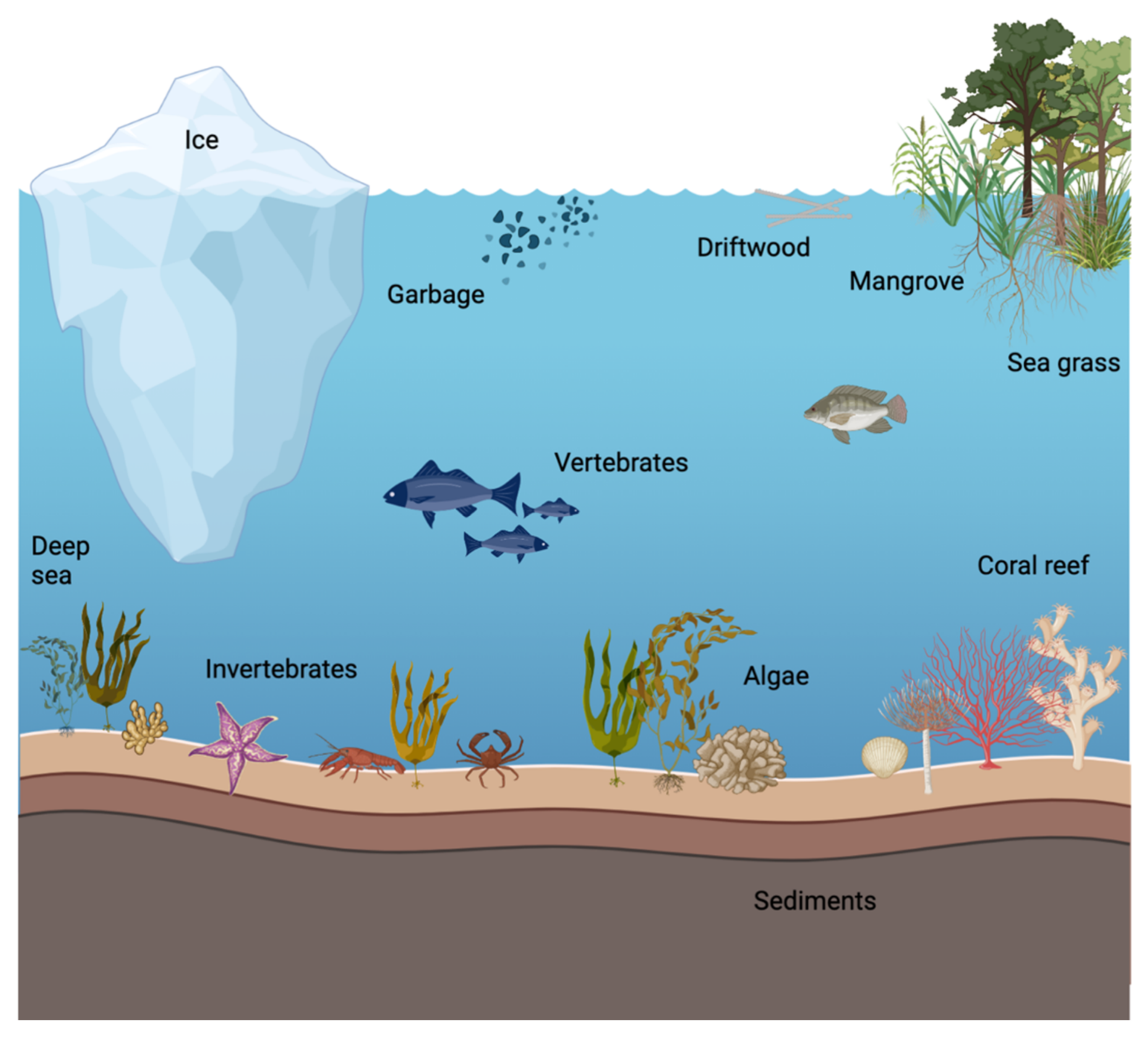 Encyclopedia 02 00037 g004