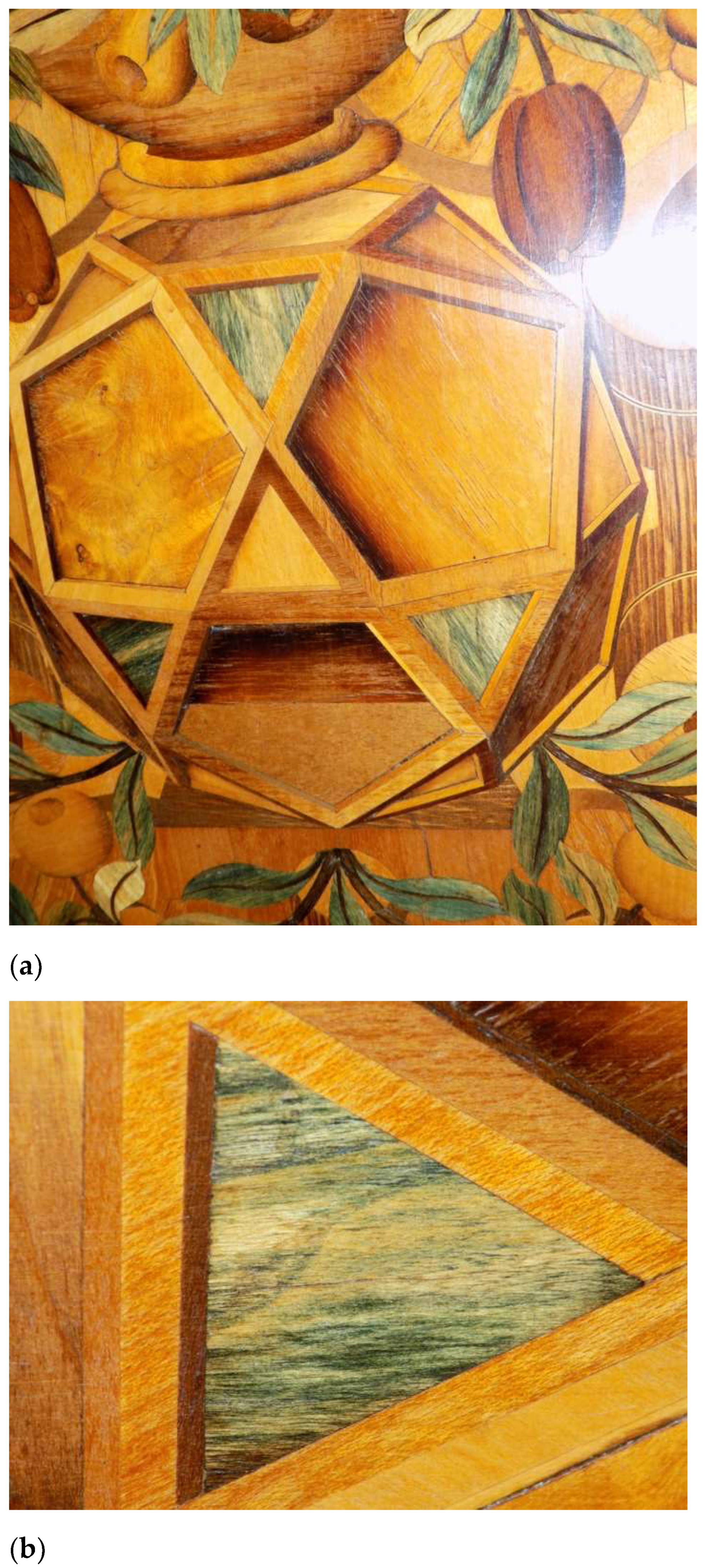 Encyclopedia 02 00094 g007