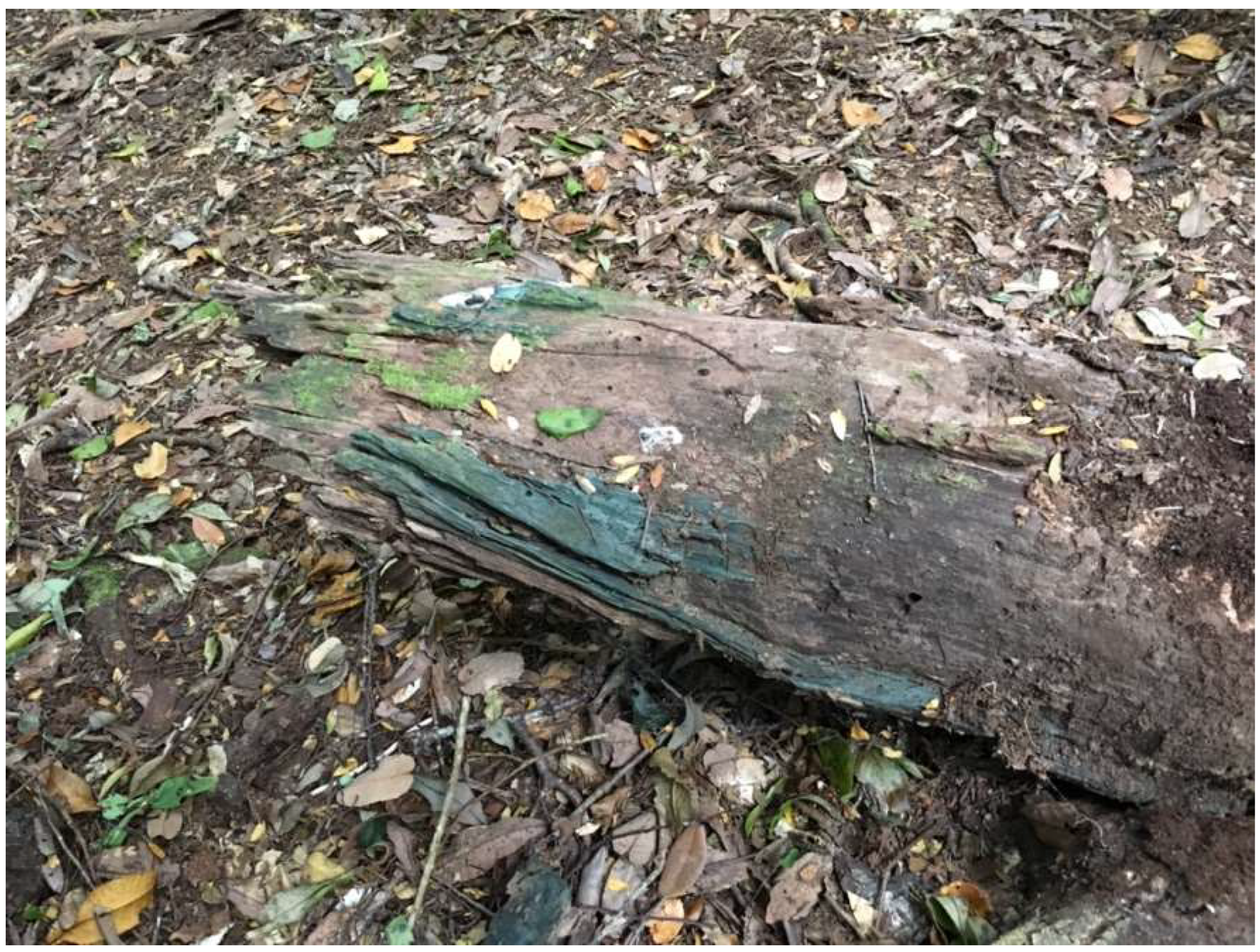 Encyclopedia 02 00094 g009