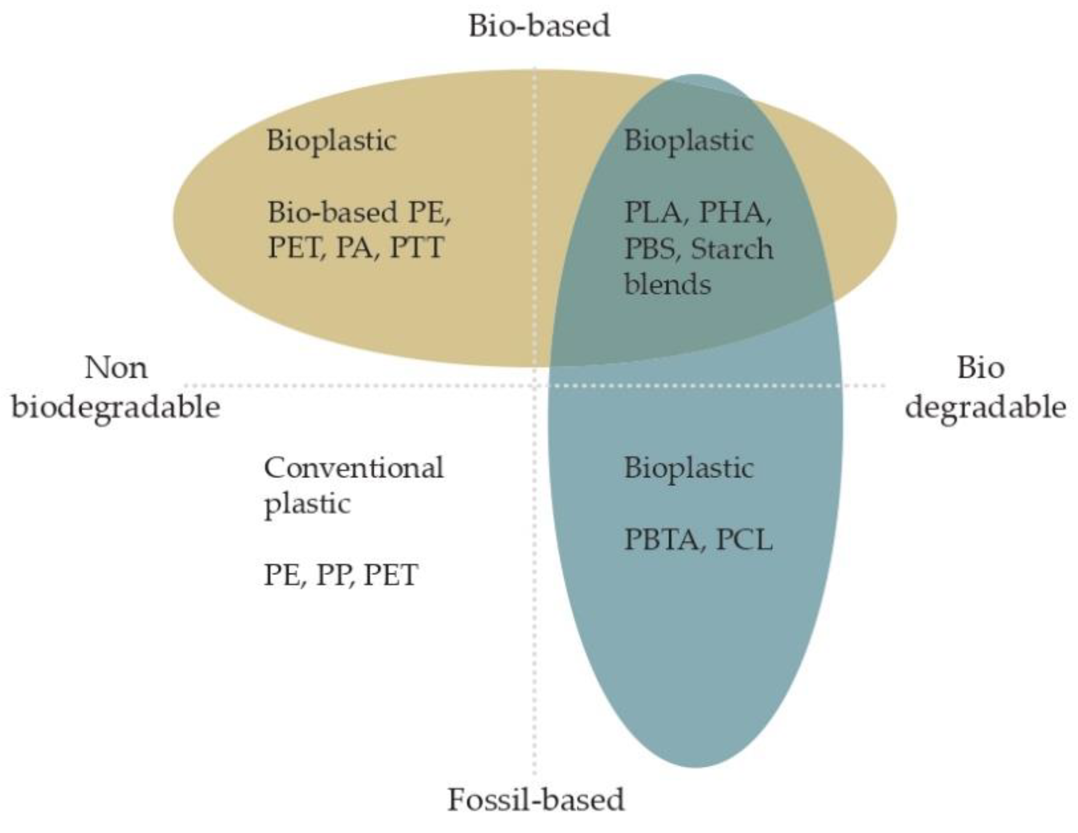 Encyclopedia 02 00095 g002