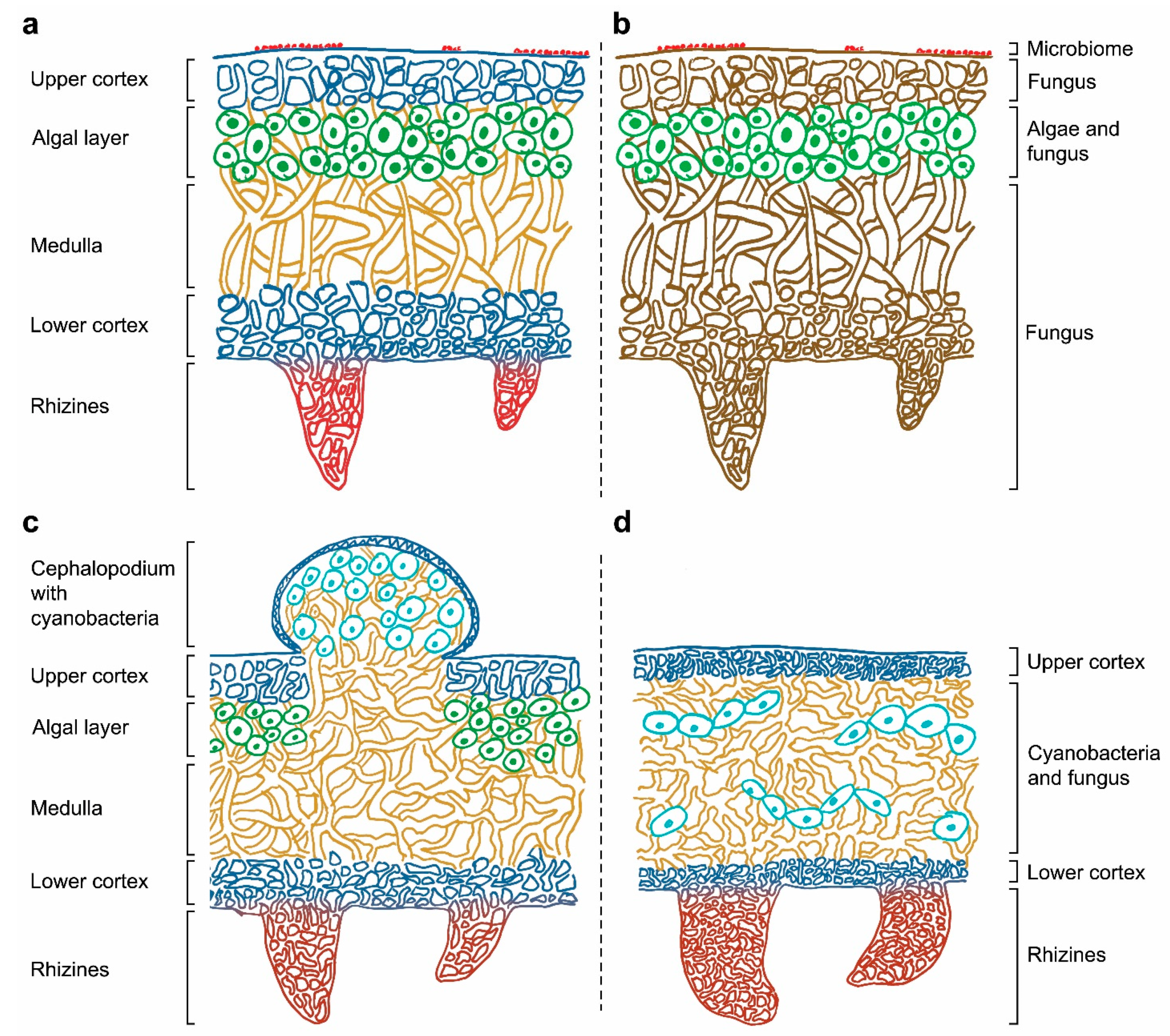 Encyclopedia 02 00096 g001