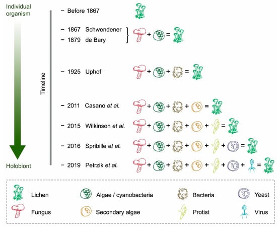 Encyclopedia 02 00096 g002 550