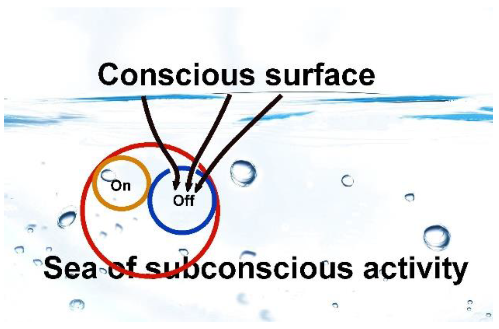 Encyclopedia 02 00099 g003