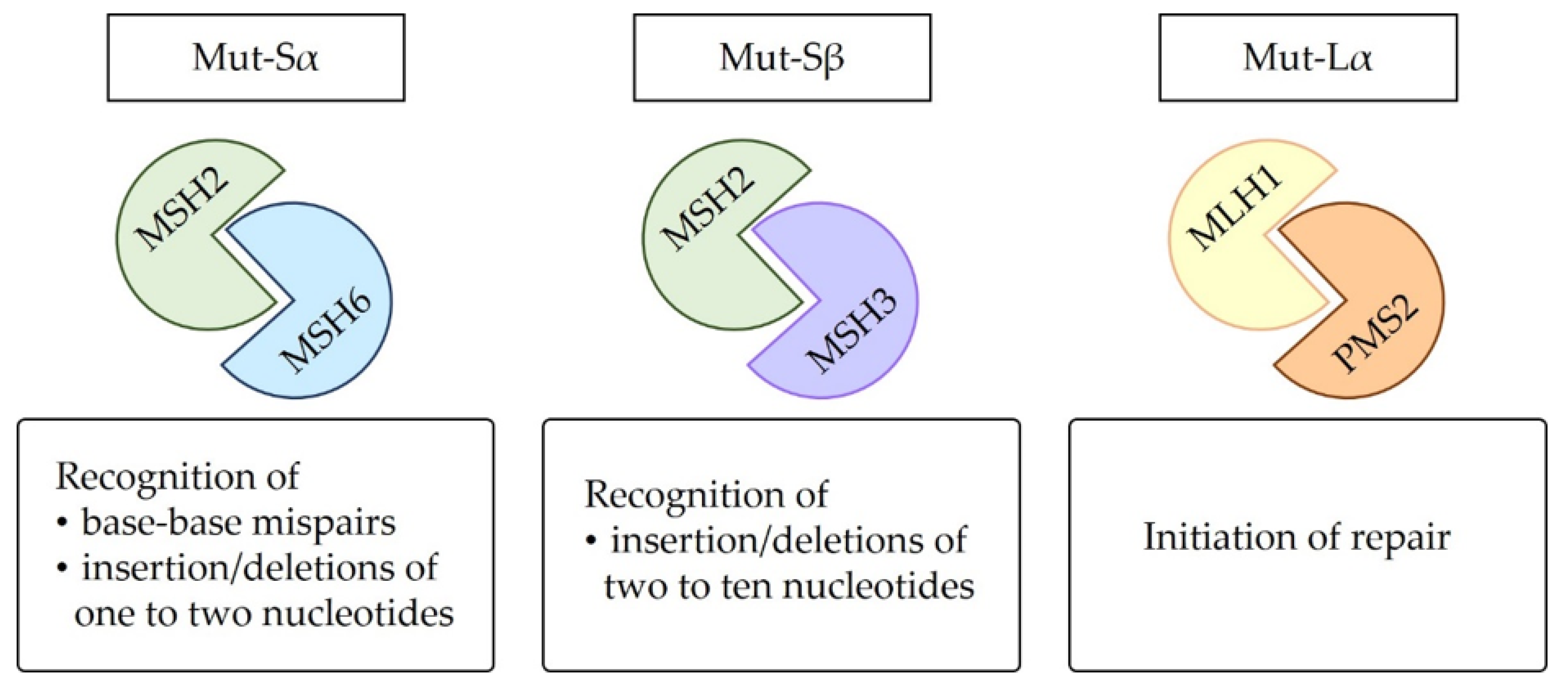Encyclopedia 02 00106 g002