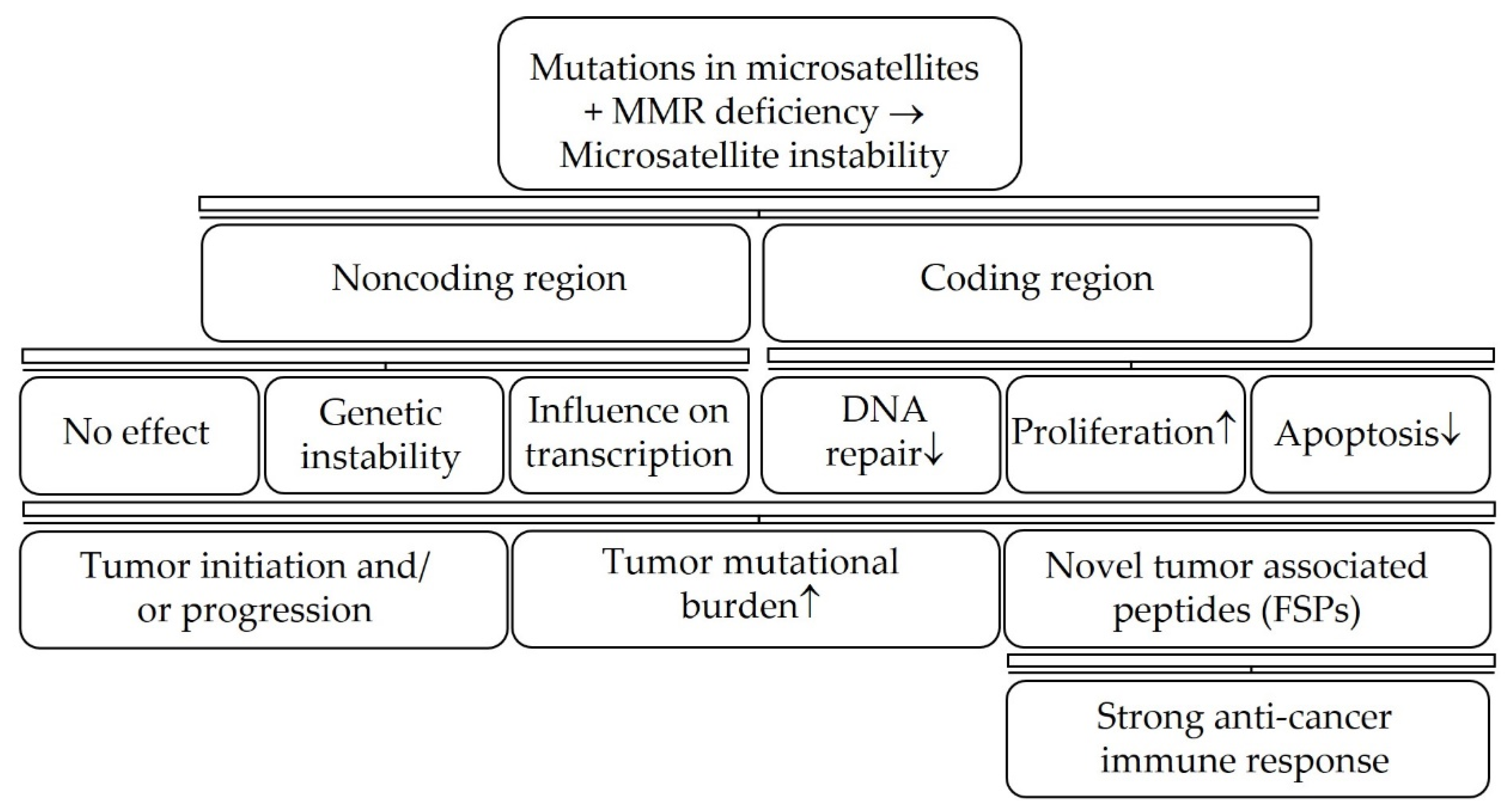 Encyclopedia 02 00106 g006