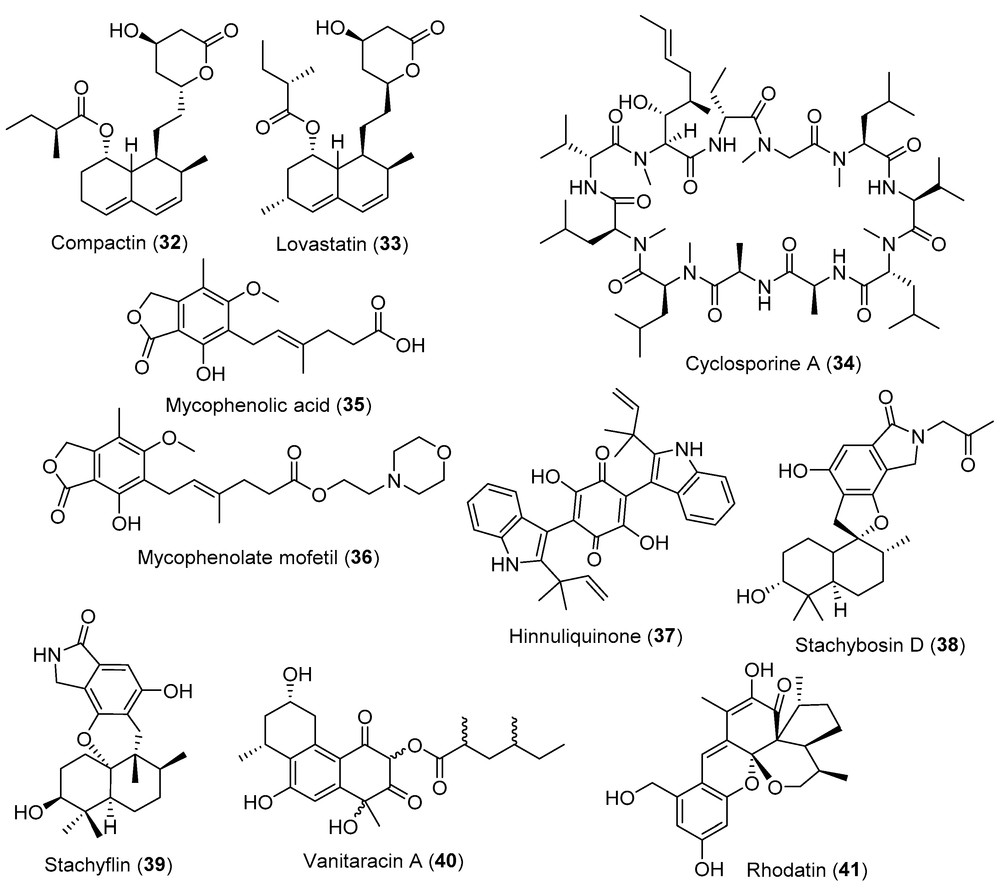 Encyclopedia 02 00108 g004