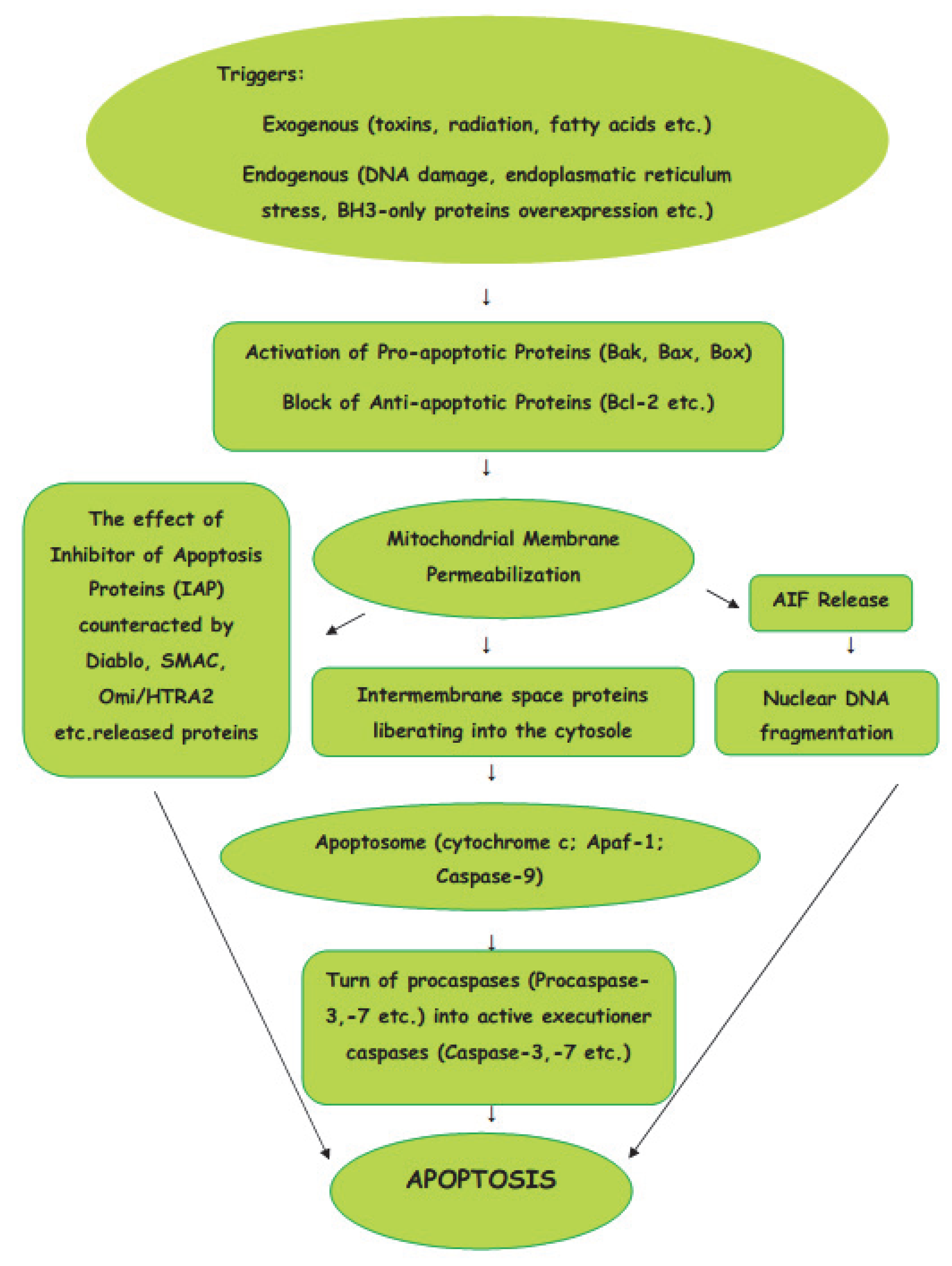 Encyclopedia 02 00111 g001