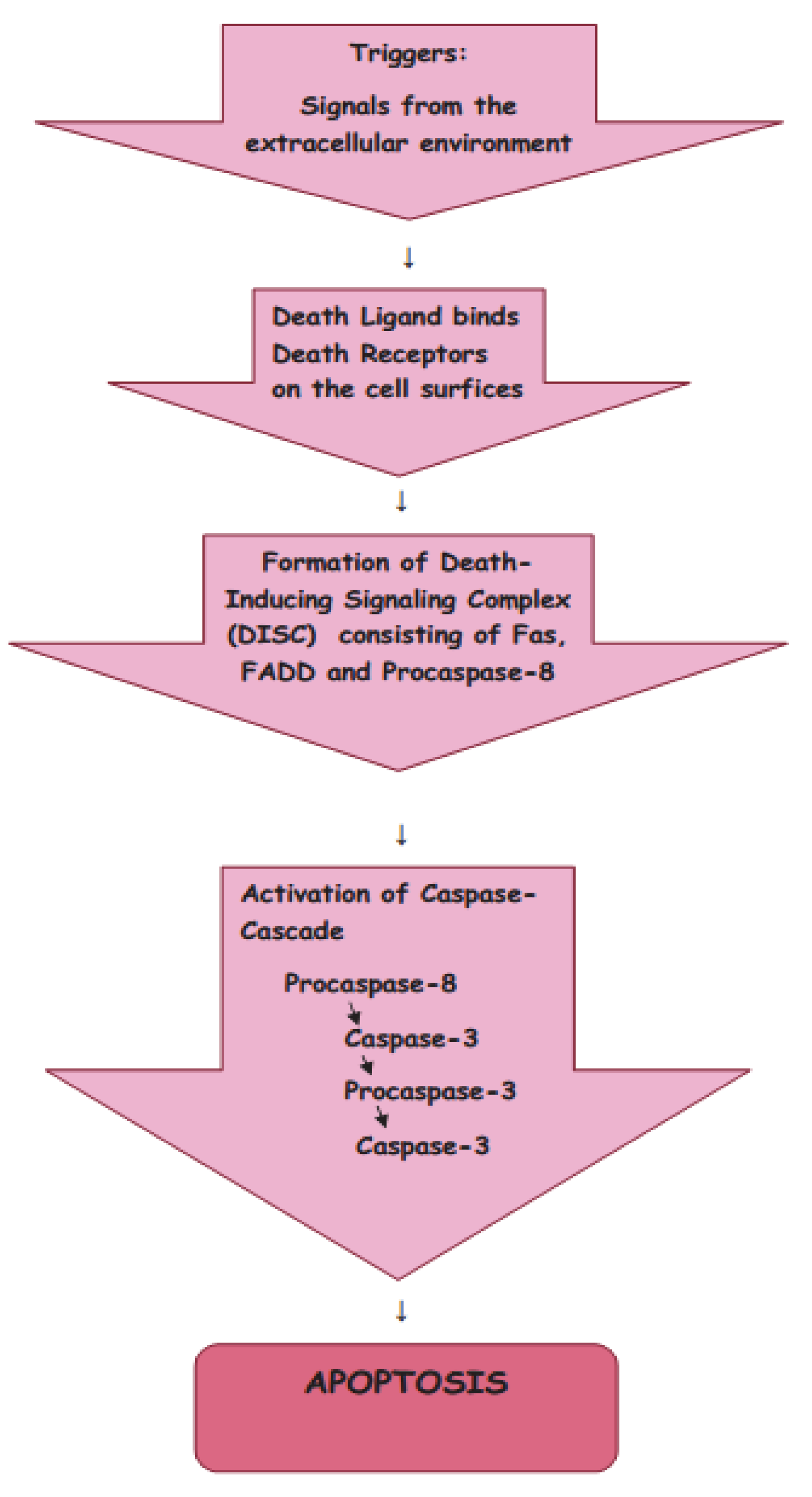 Encyclopedia 02 00111 g002