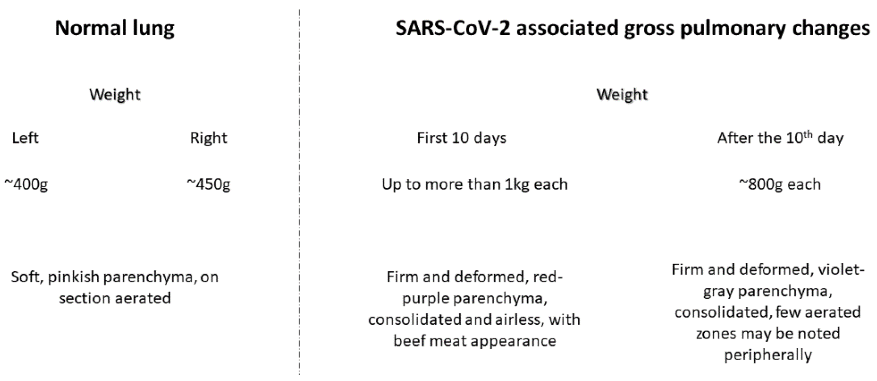 Encyclopedia 02 00116 g001