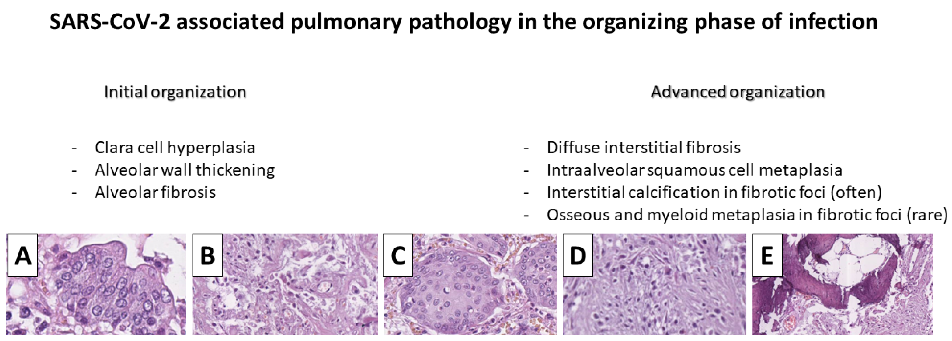 Encyclopedia 02 00116 g003