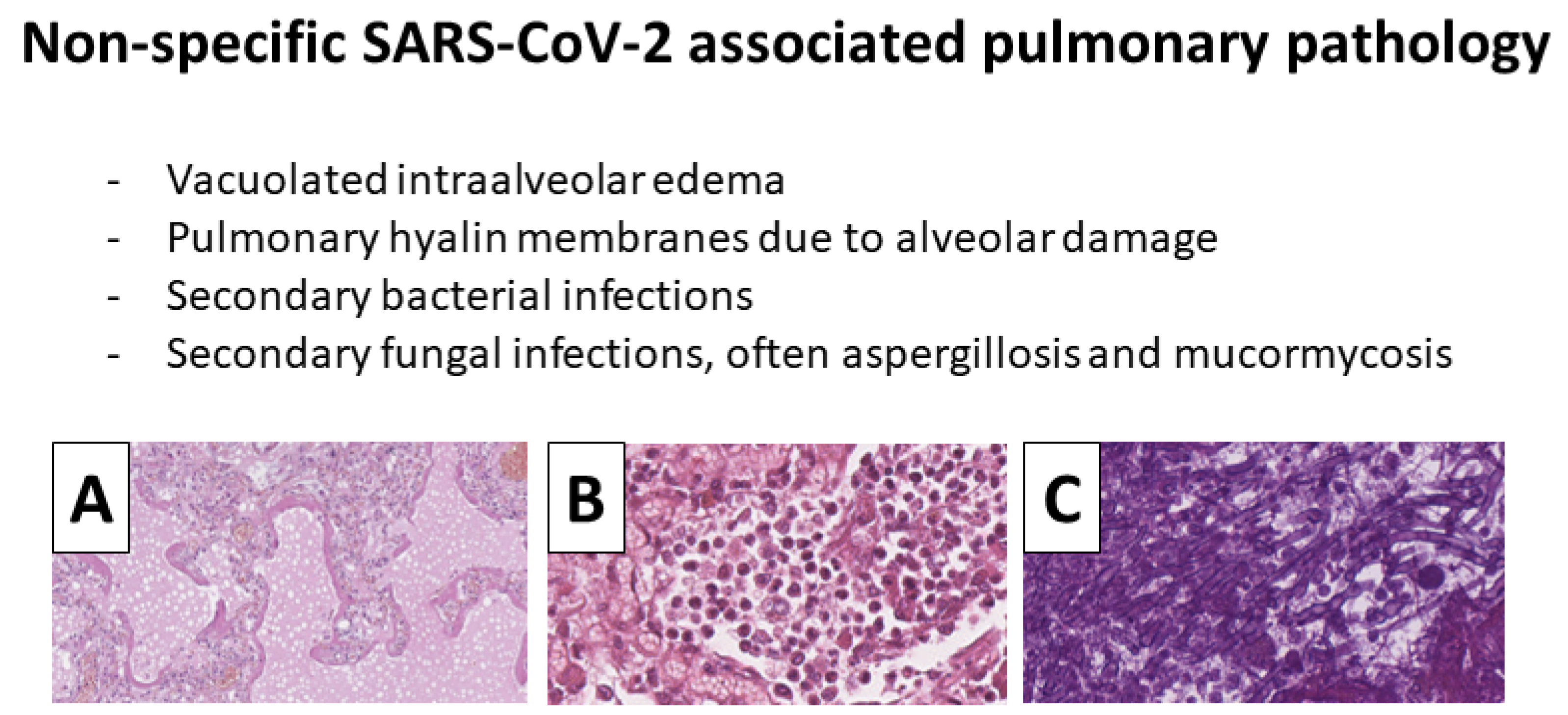 Encyclopedia 02 00116 g005