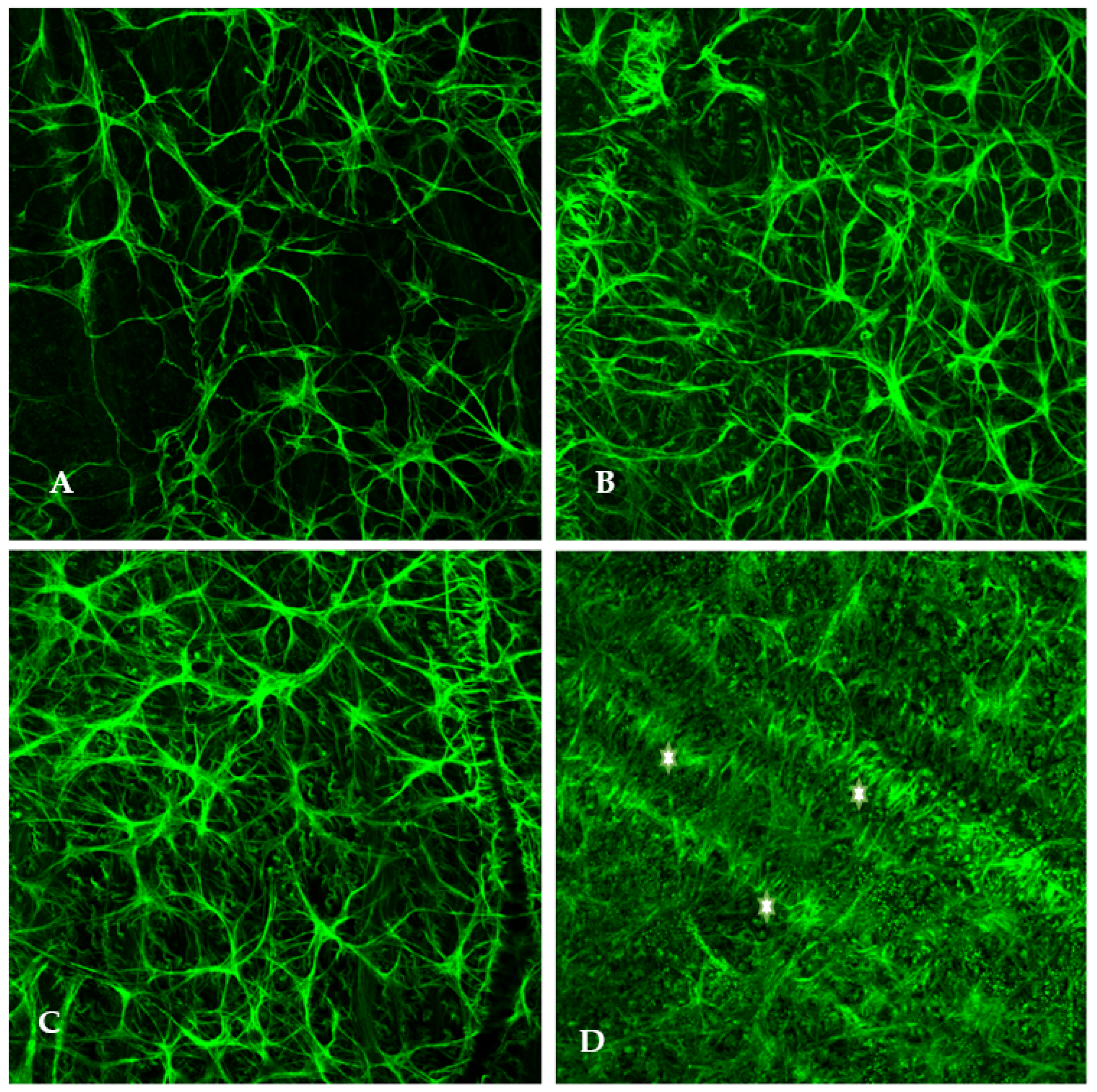 Encyclopedia 02 00124 g001