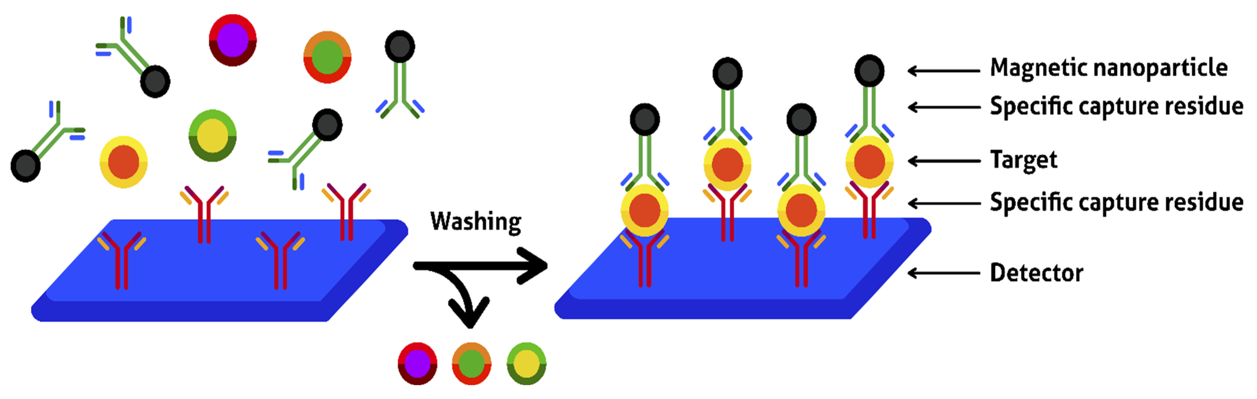 Encyclopedia 02 00125 g008