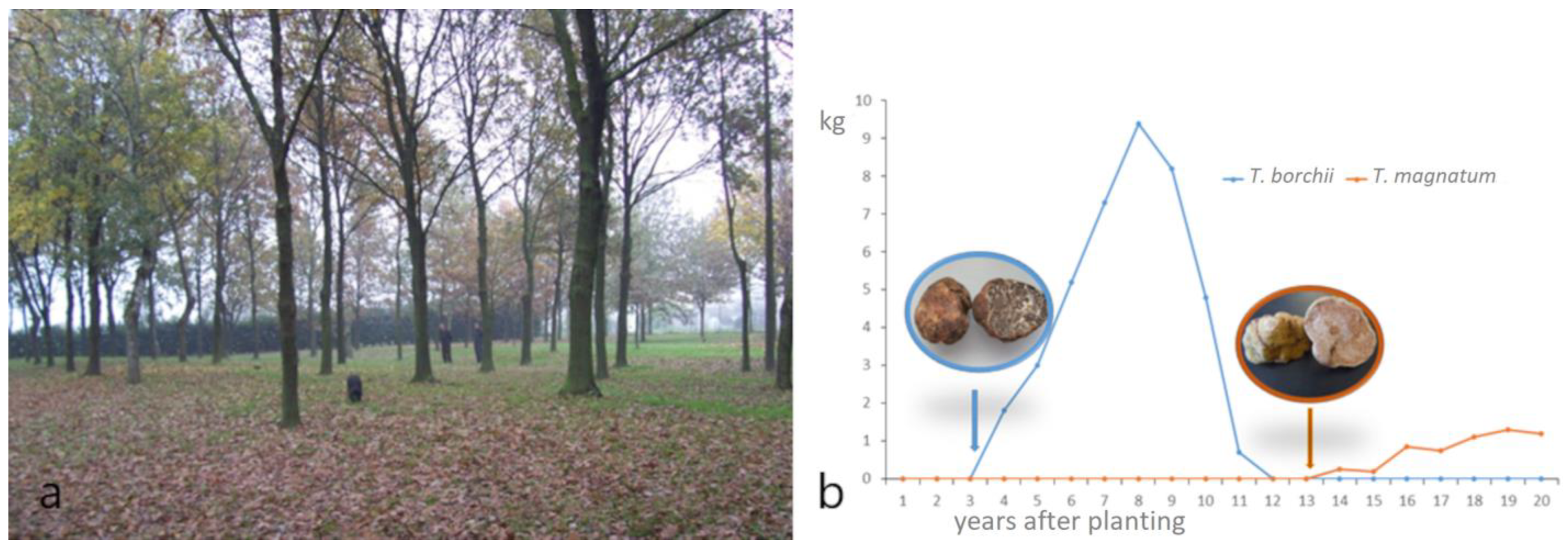 Encyclopedia 02 00135 g002