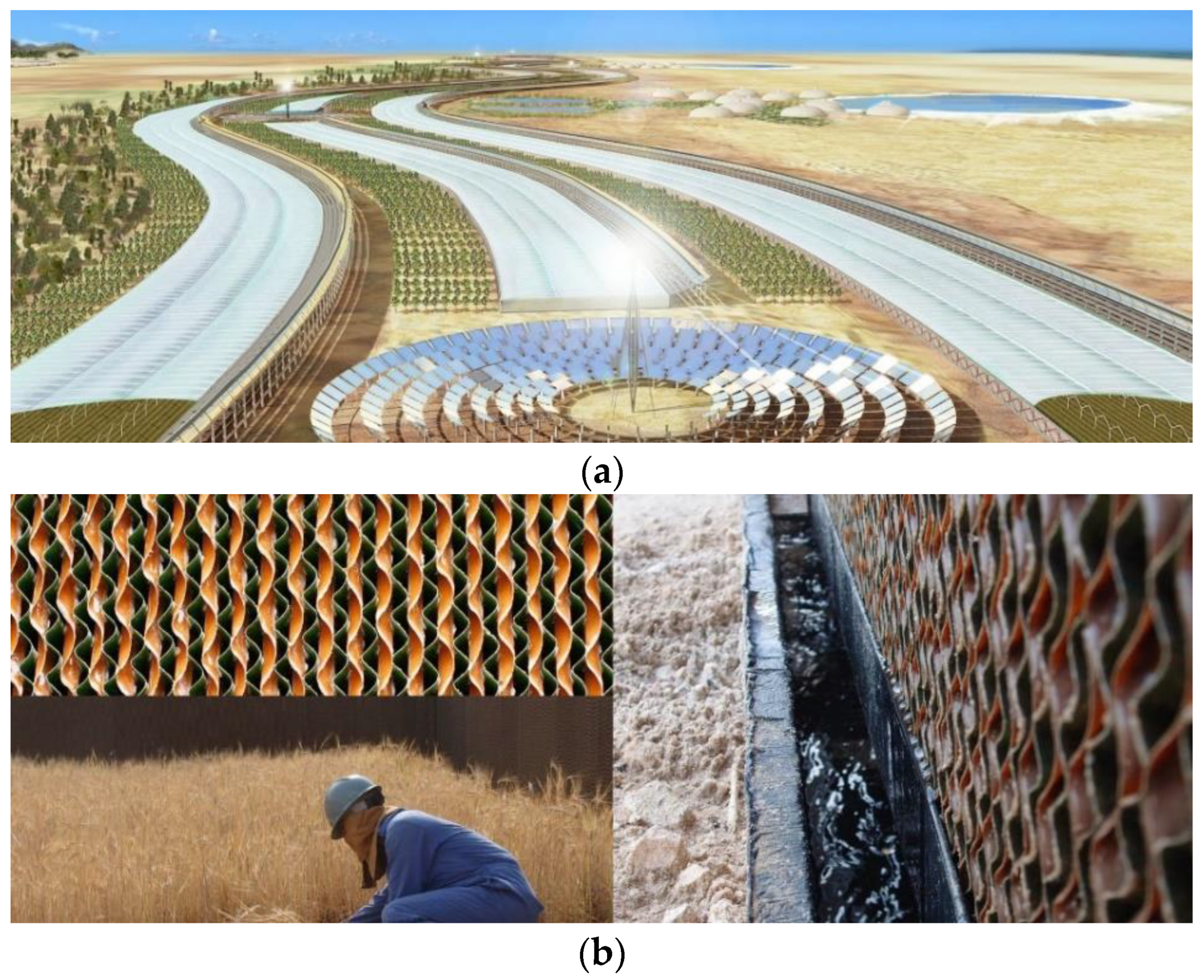 Encyclopedia 03 00014 g007 Encyclopedia 03 00014 g007