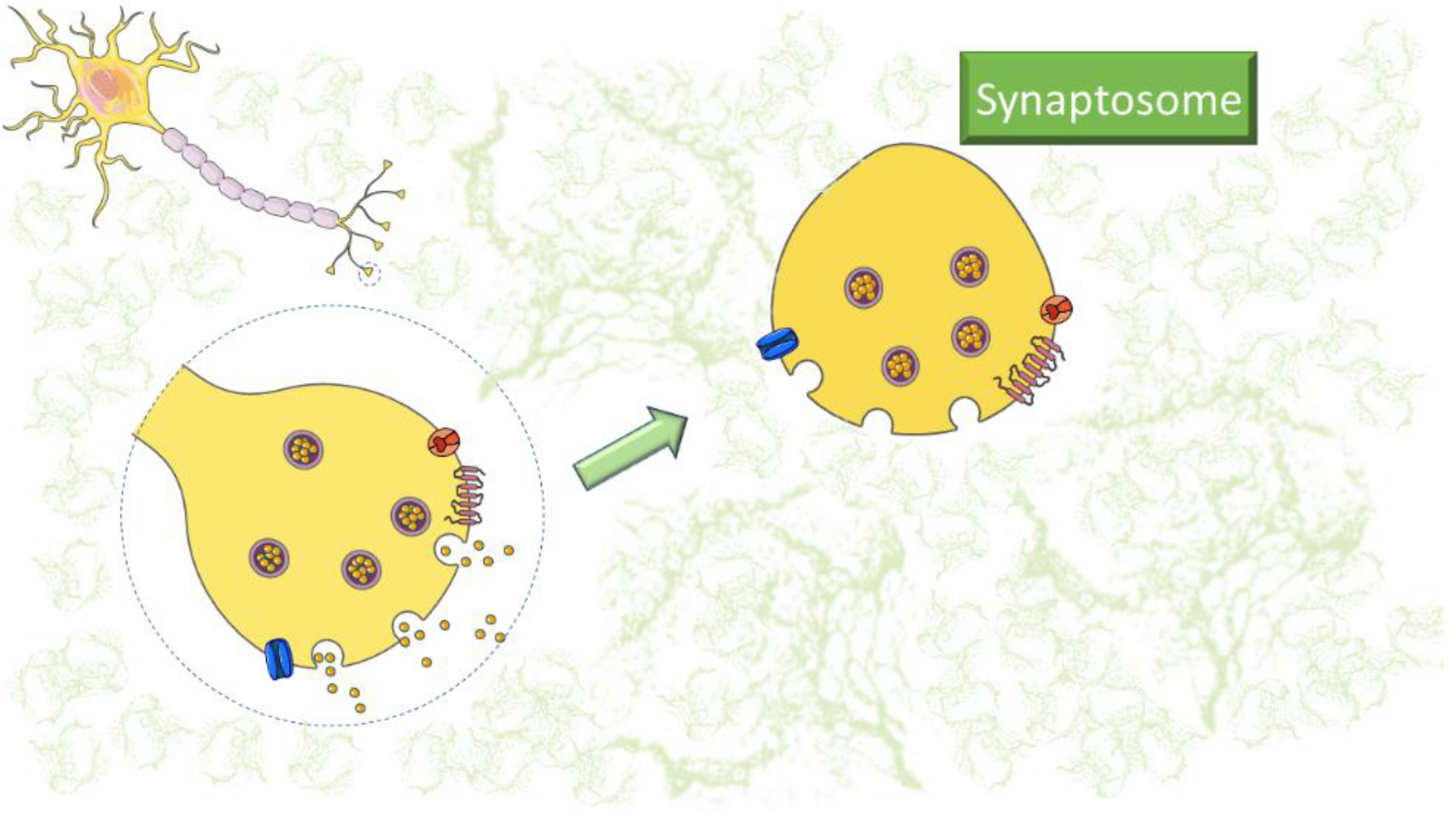 Encyclopedia 03 00027 g001