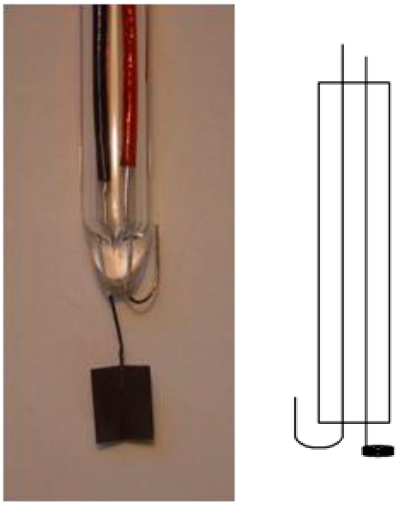 Encyclopedia 03 00033 g002