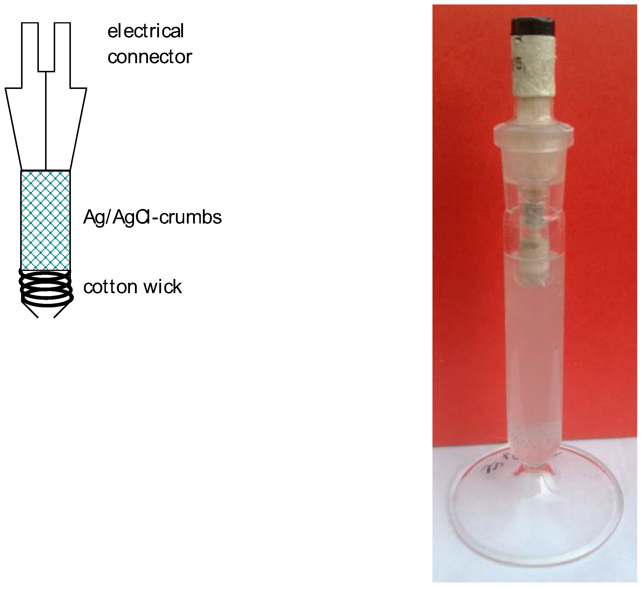 Encyclopedia 03 00033 g006