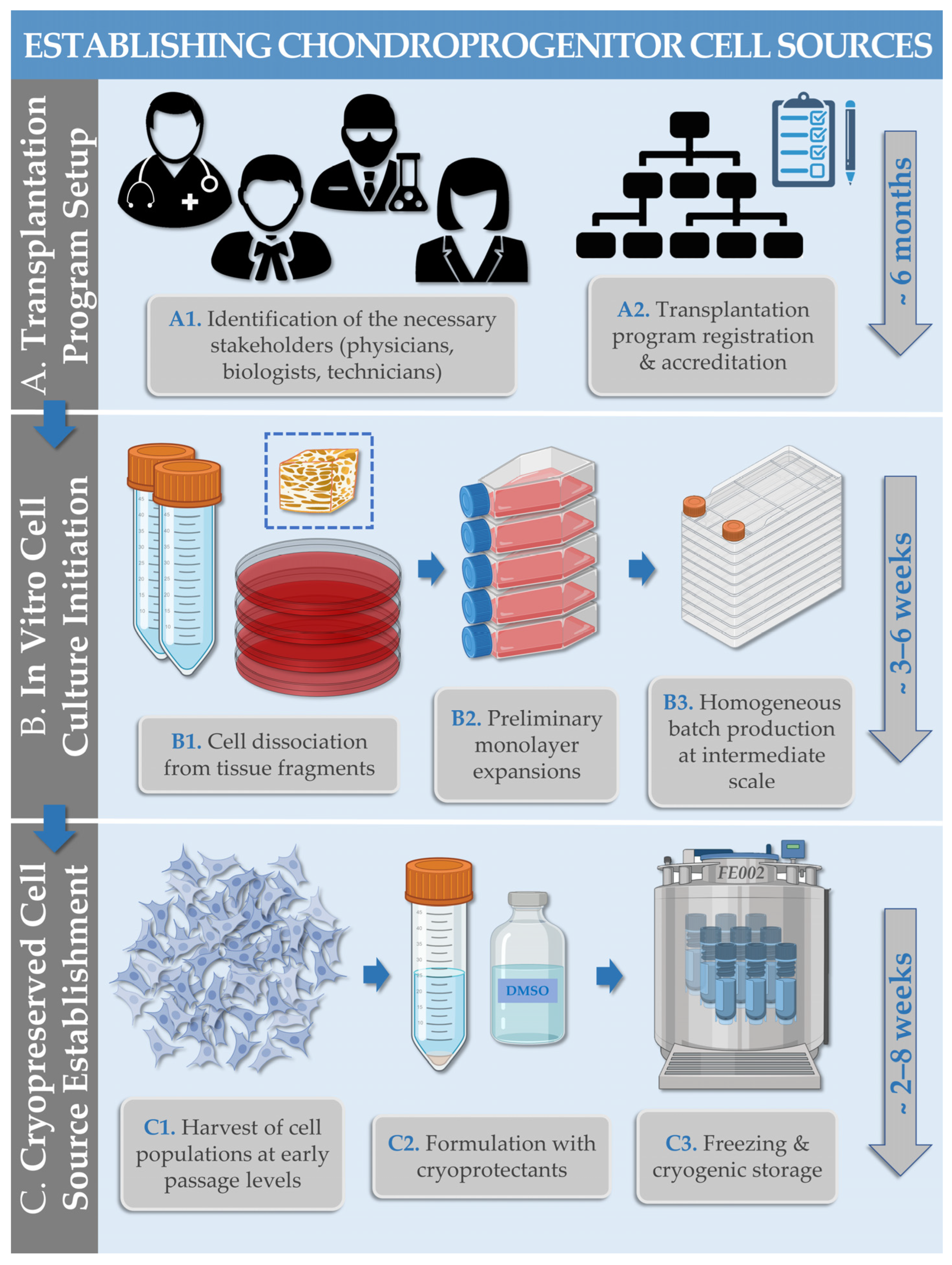 Encyclopedia 03 00045 g001