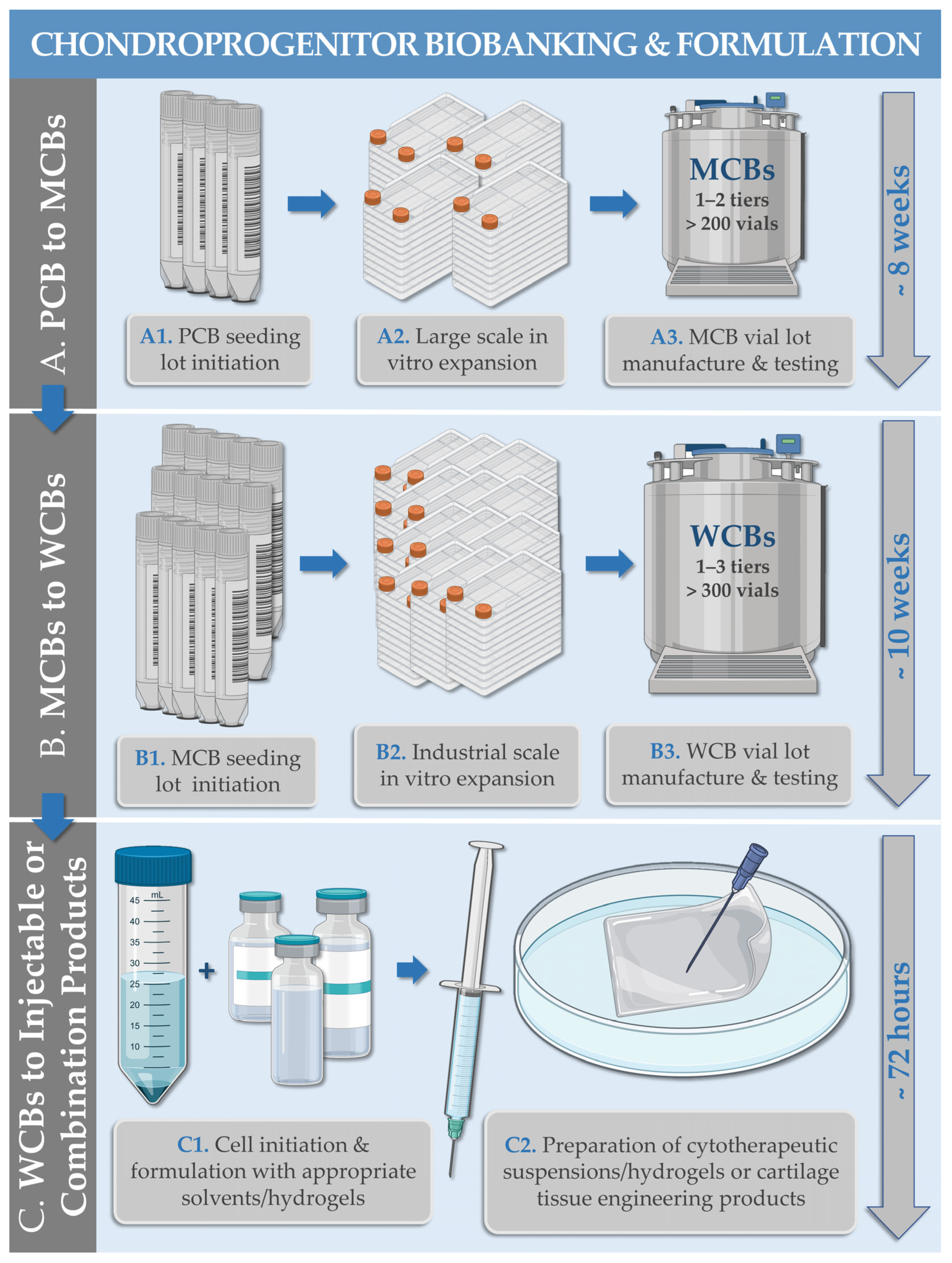 Encyclopedia 03 00045 g002