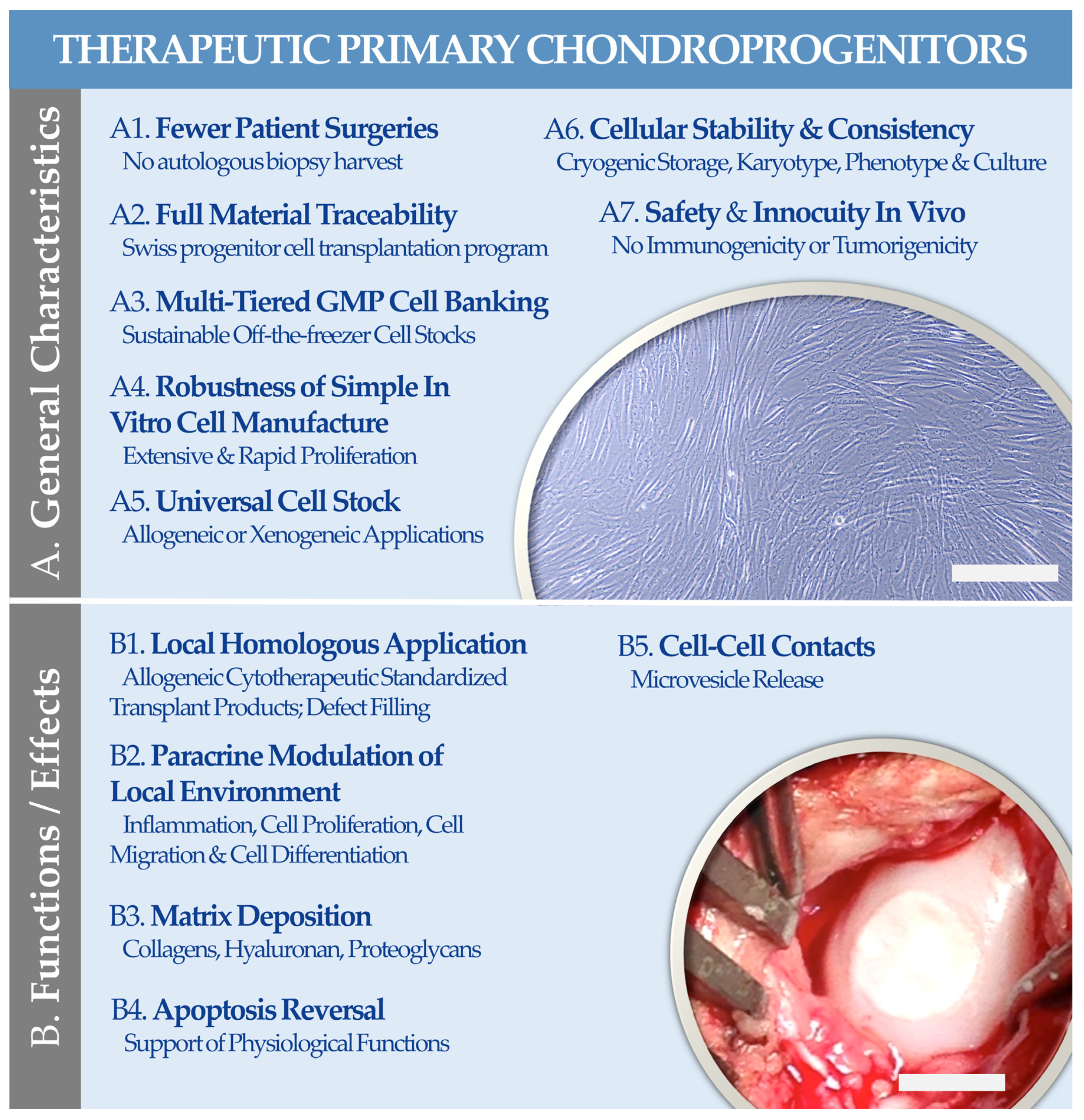 Encyclopedia 03 00045 g004