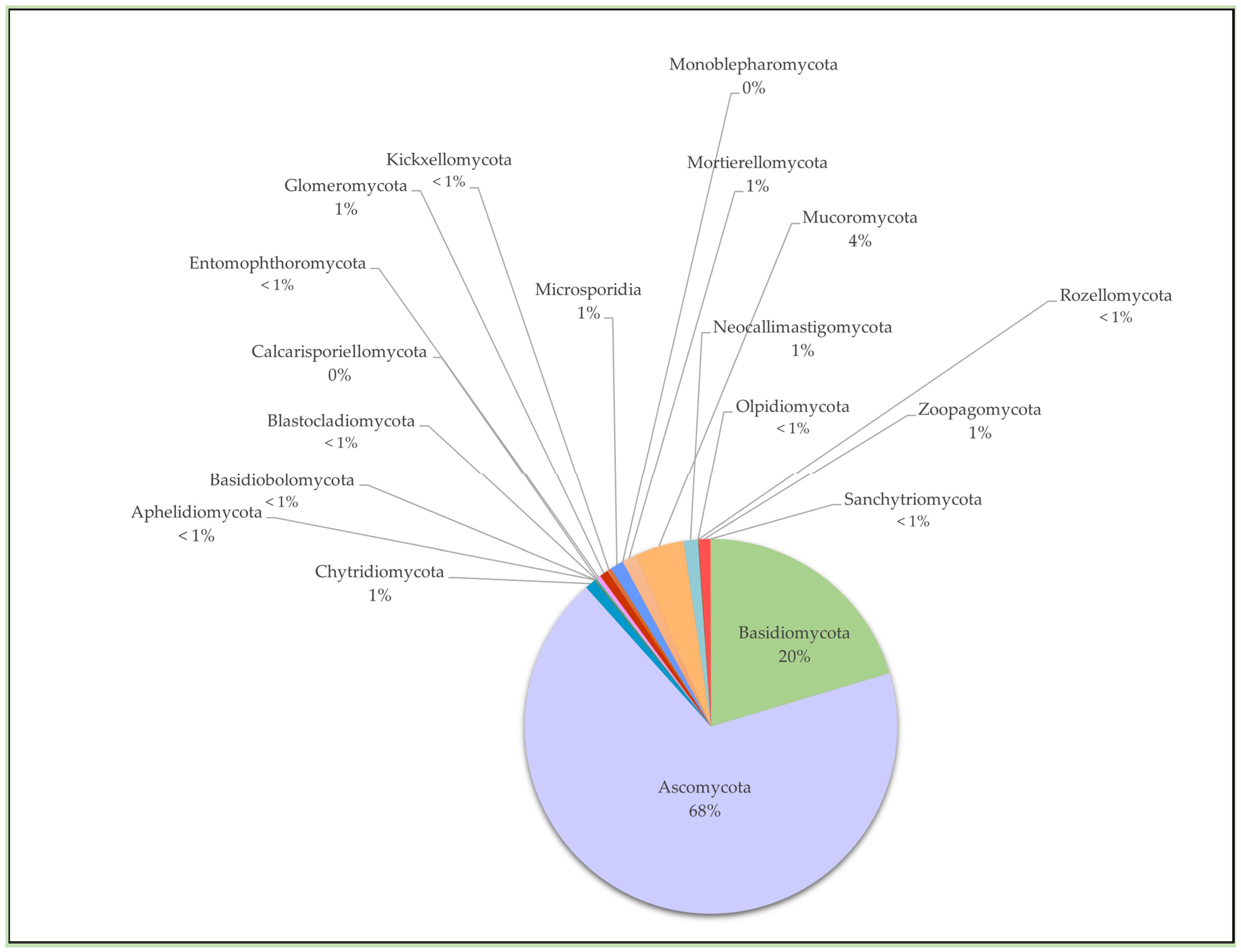Encyclopedia 03 00046 g004