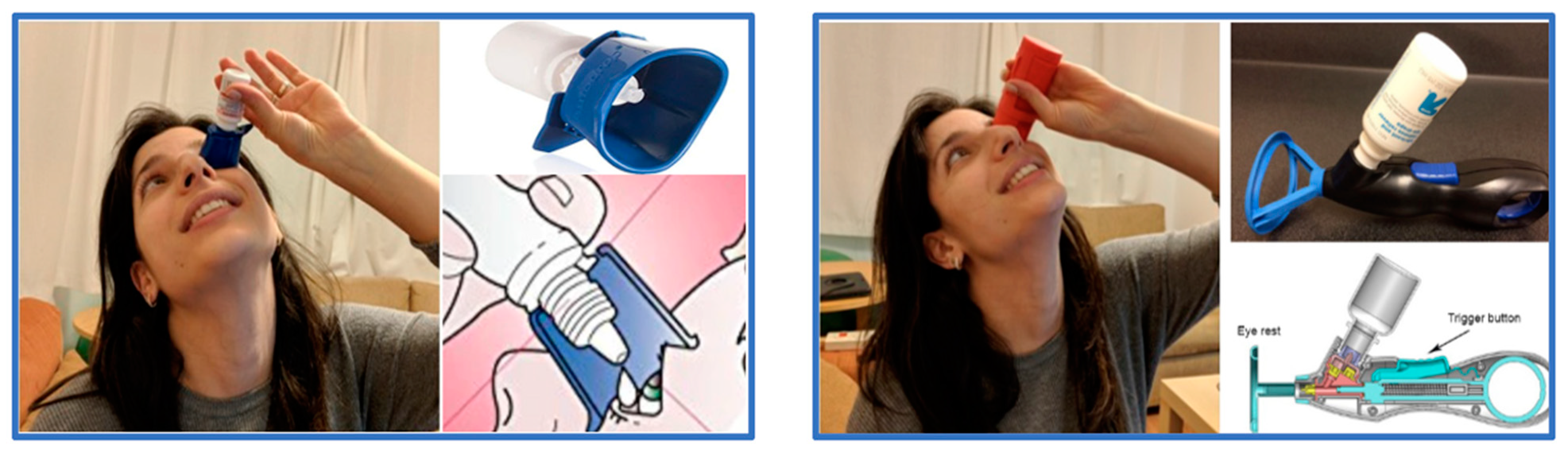 Encyclopedia 03 00065 g001