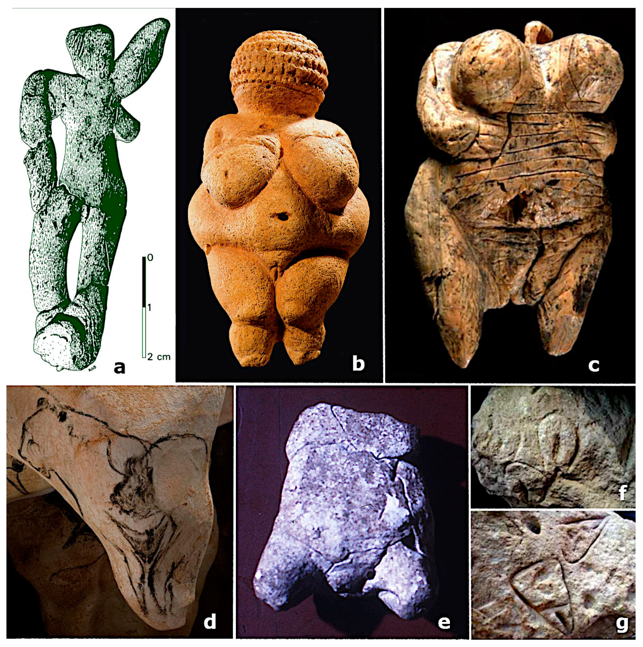 Encyclopedia 03 00067 g001