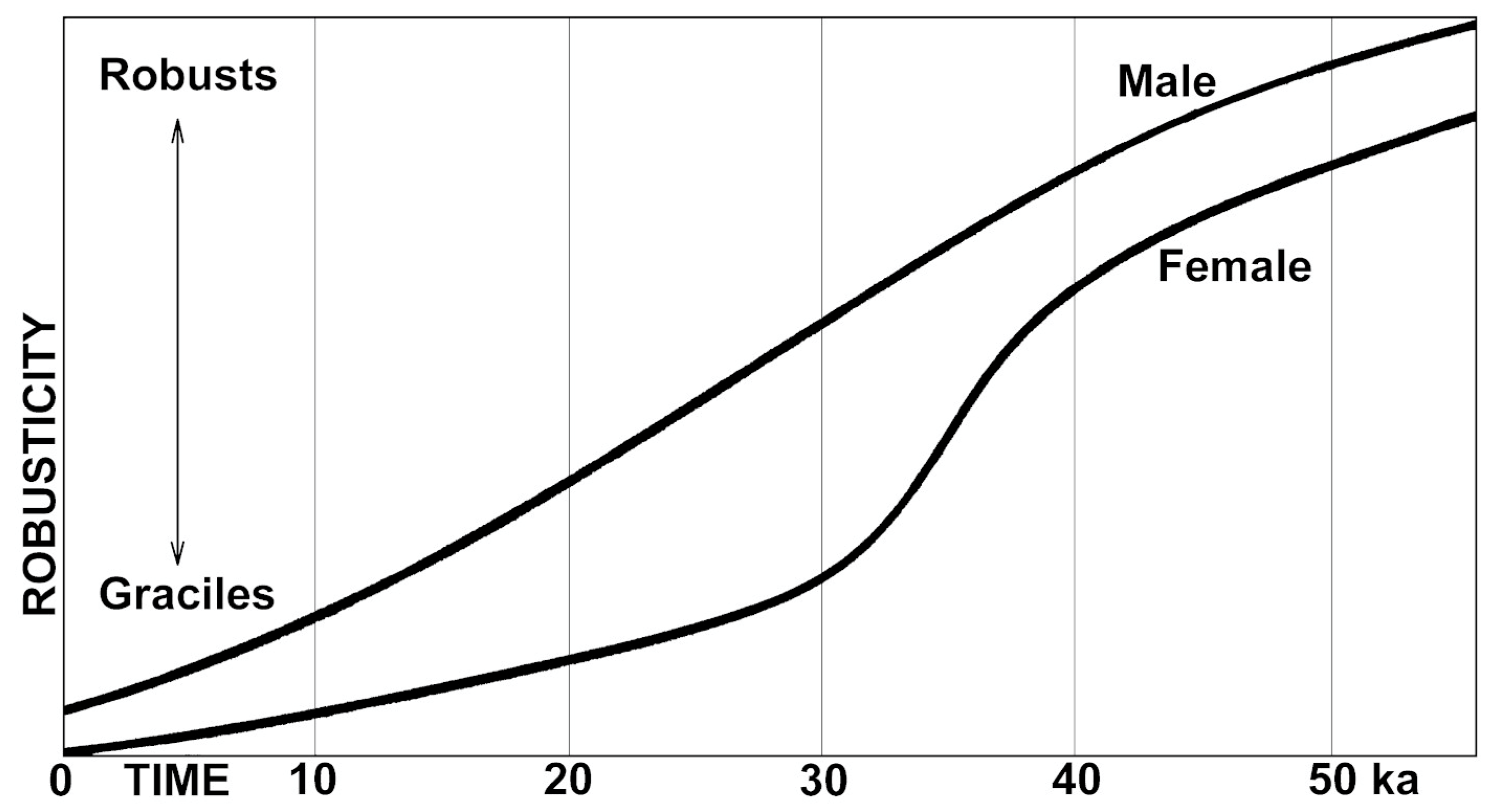 Encyclopedia 03 00067 g002