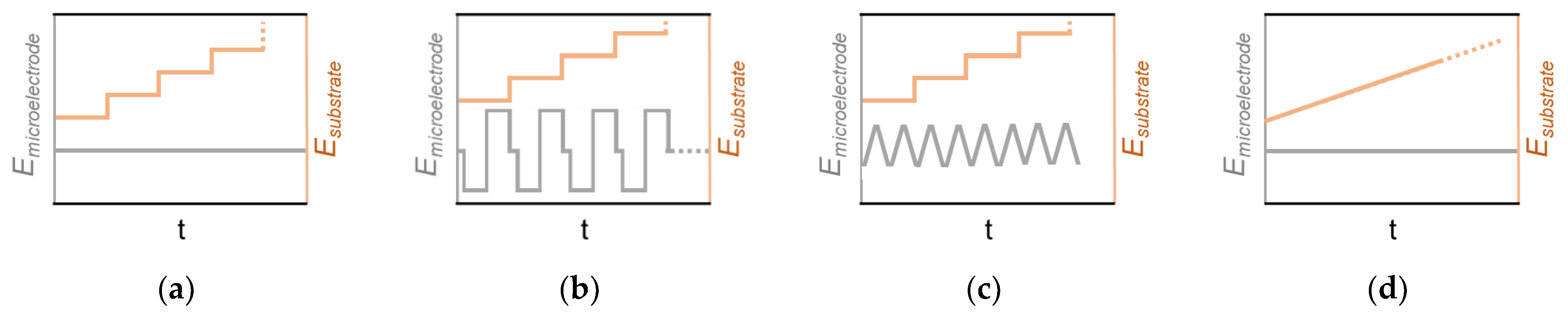 Encyclopedia 03 00094 g004