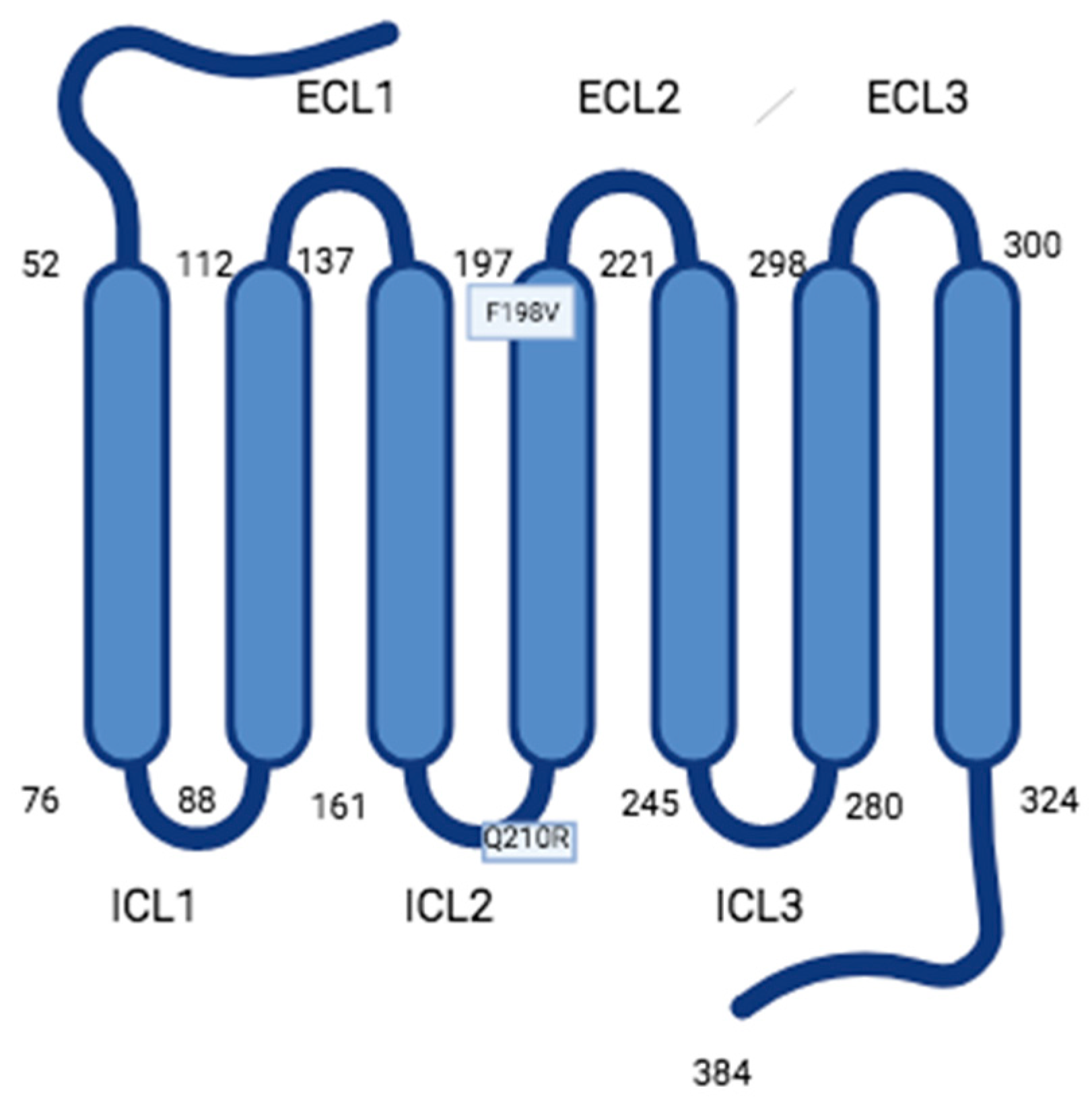Encyclopedia 03 00107 g001