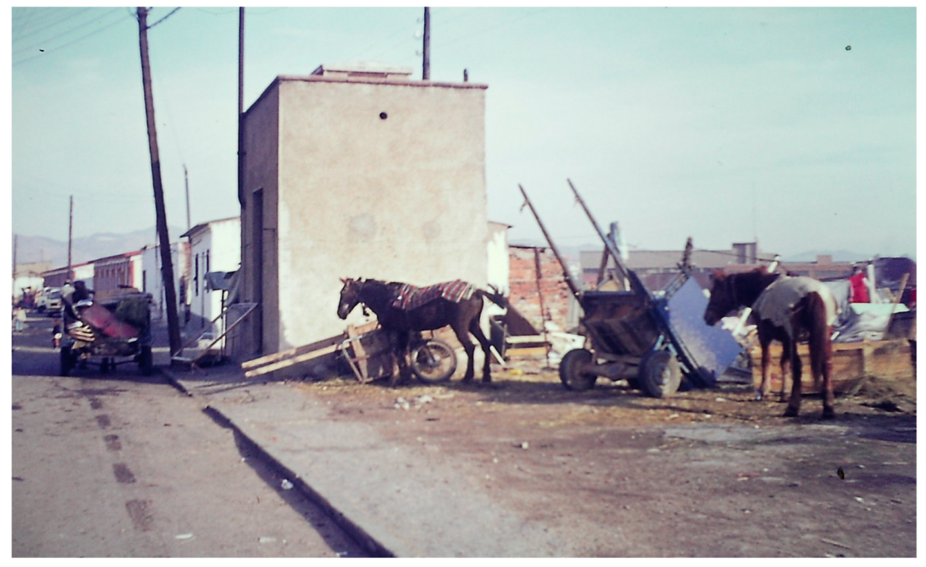 Encyclopedia 04 00030 g006