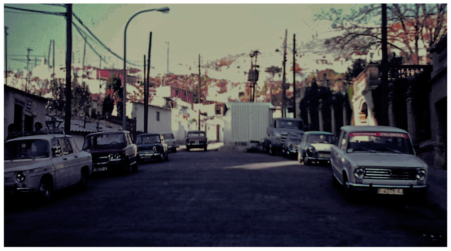 Encyclopedia 04 00030 g015