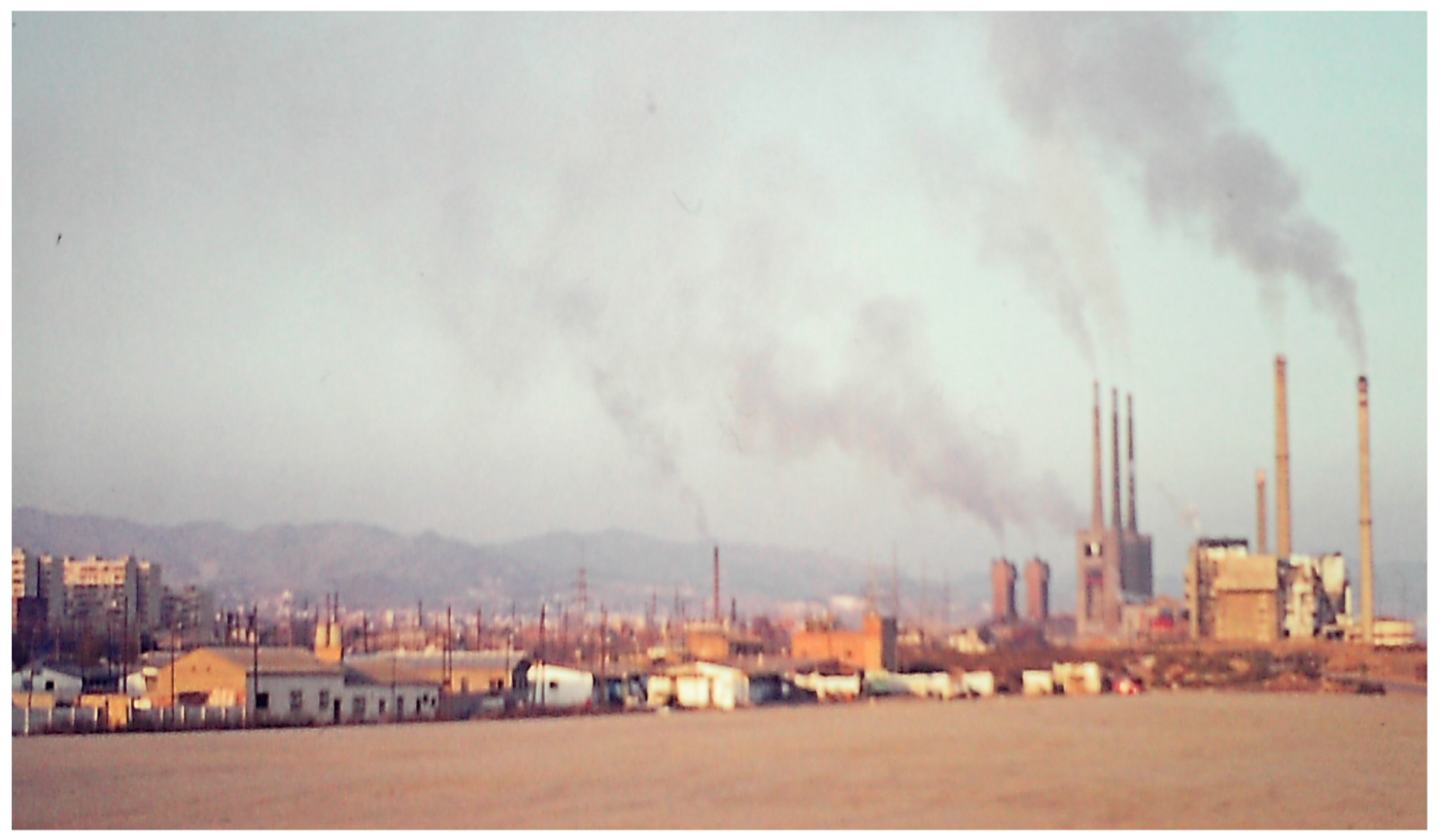 Encyclopedia 04 00030 g021