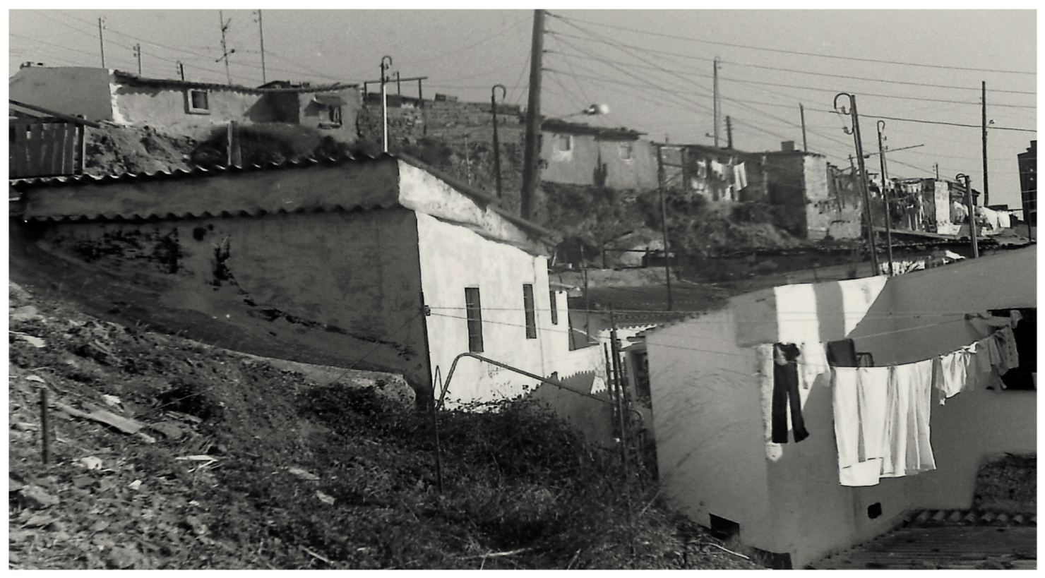 Encyclopedia 04 00030 g027