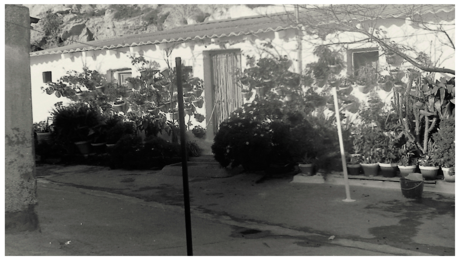 Encyclopedia 04 00030 g028