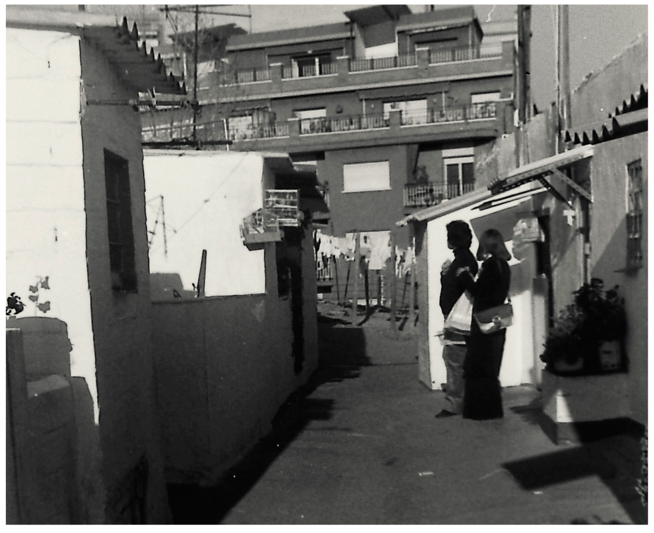 Encyclopedia 04 00030 g031