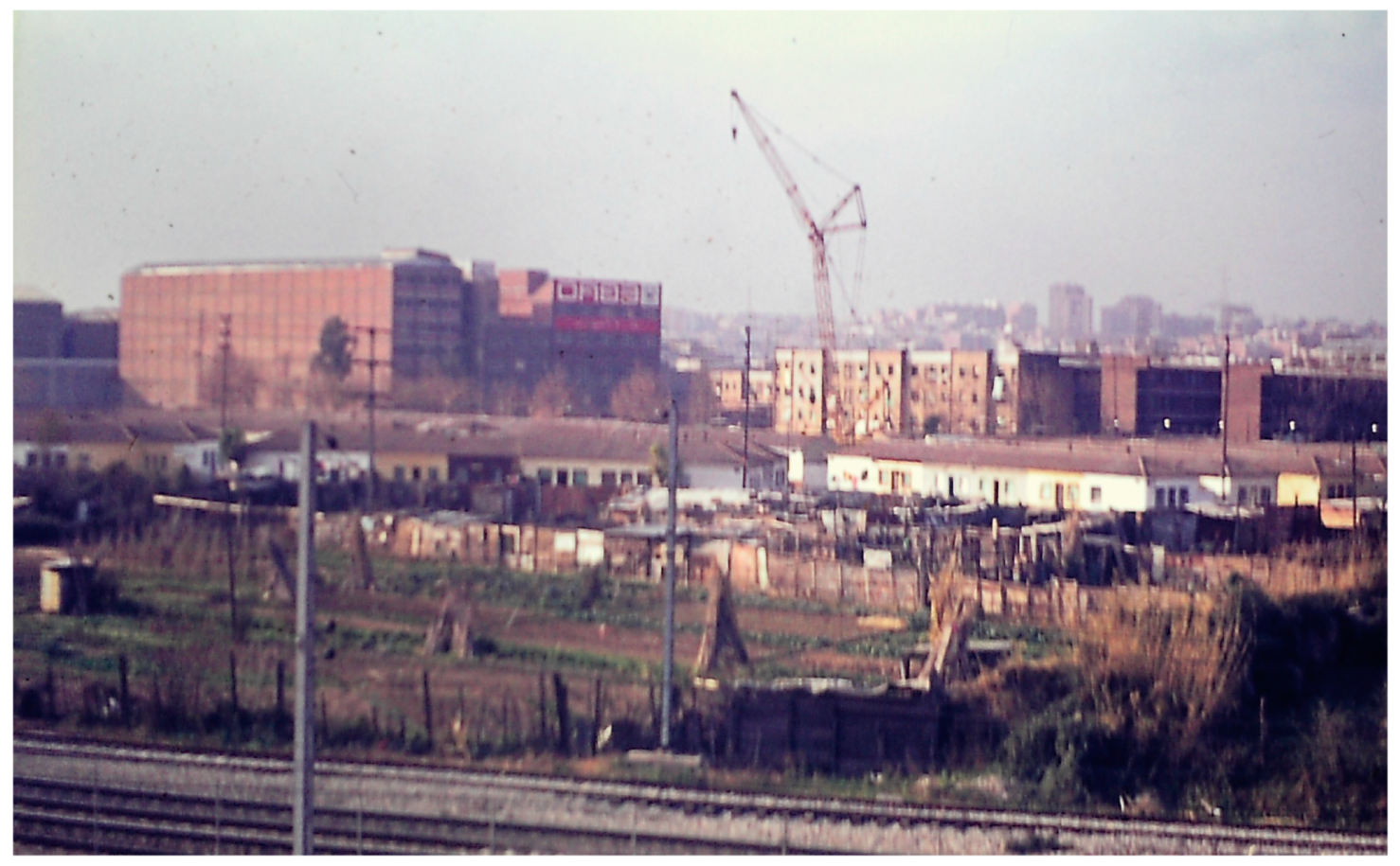 Encyclopedia 04 00030 g040